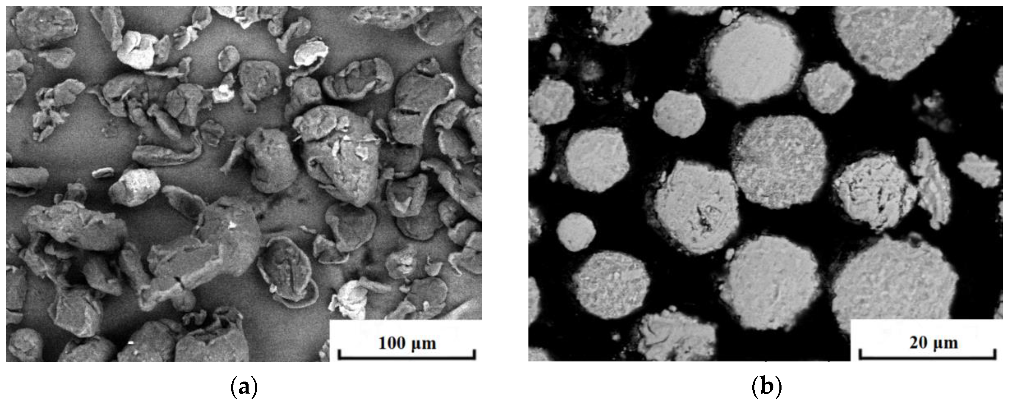 Coatings 12 00165 g002