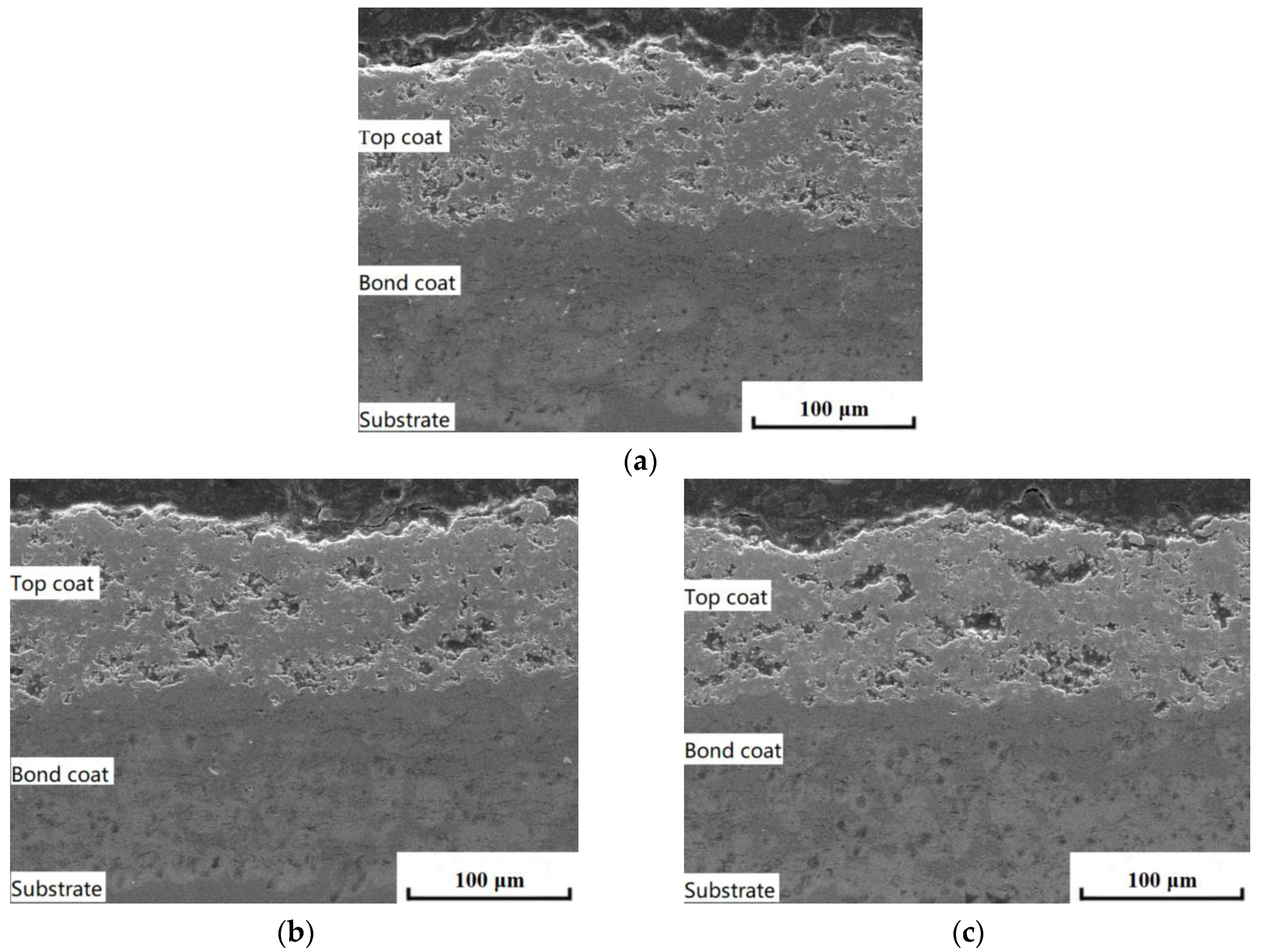 Coatings 12 00165 g004