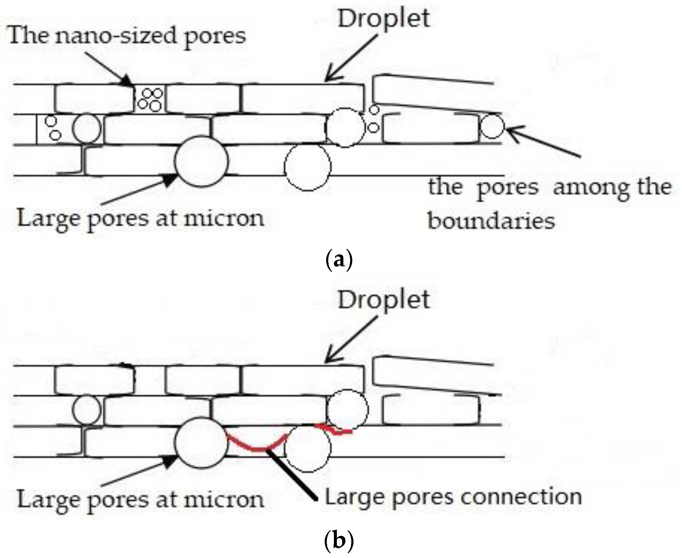 Coatings 12 00165 g016