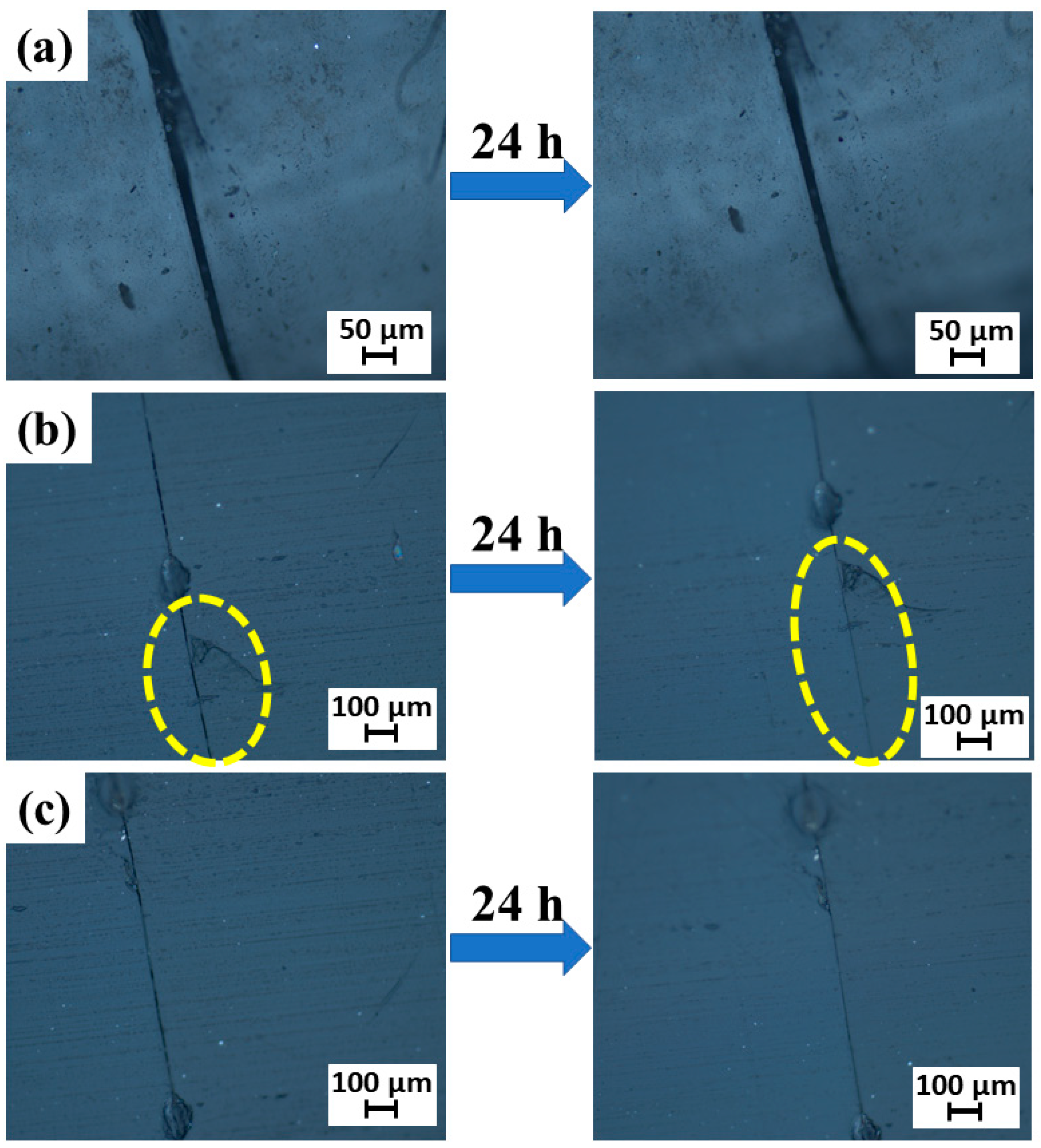 Coatings 12 00166 g007