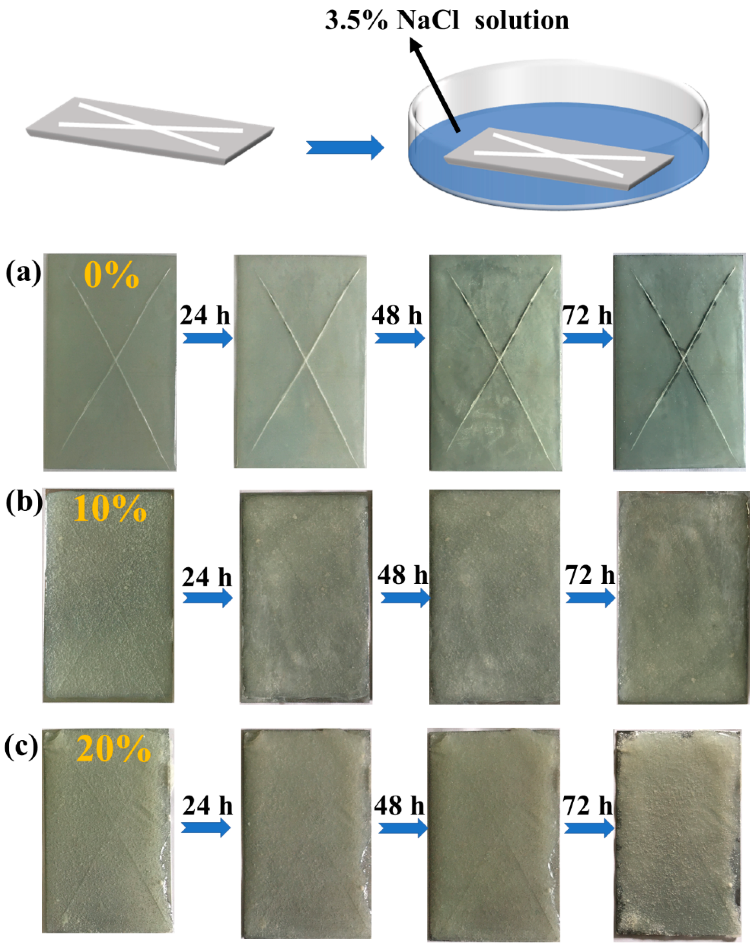 Coatings 12 00166 g008