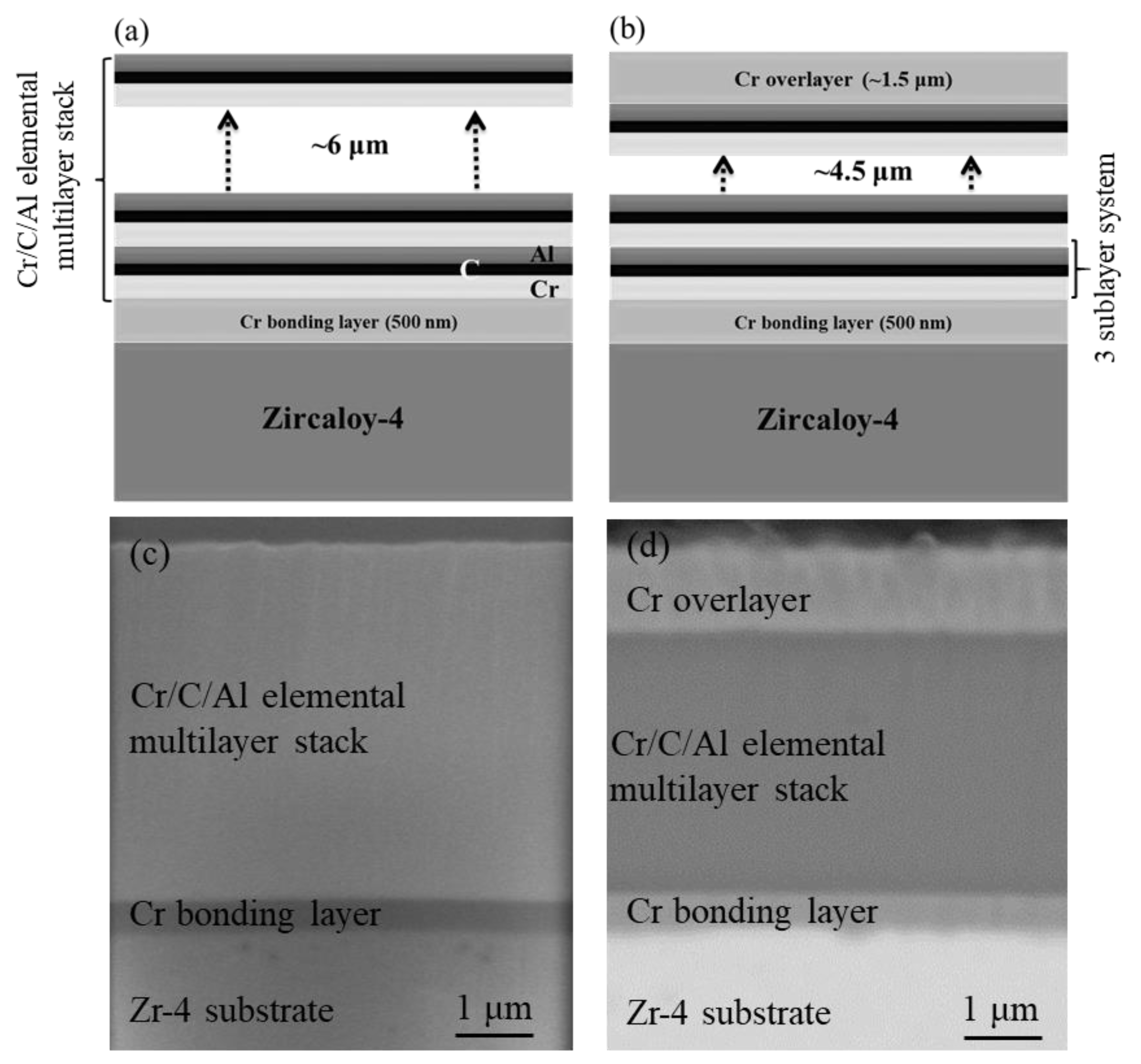 Coatings 12 00167 g001 550