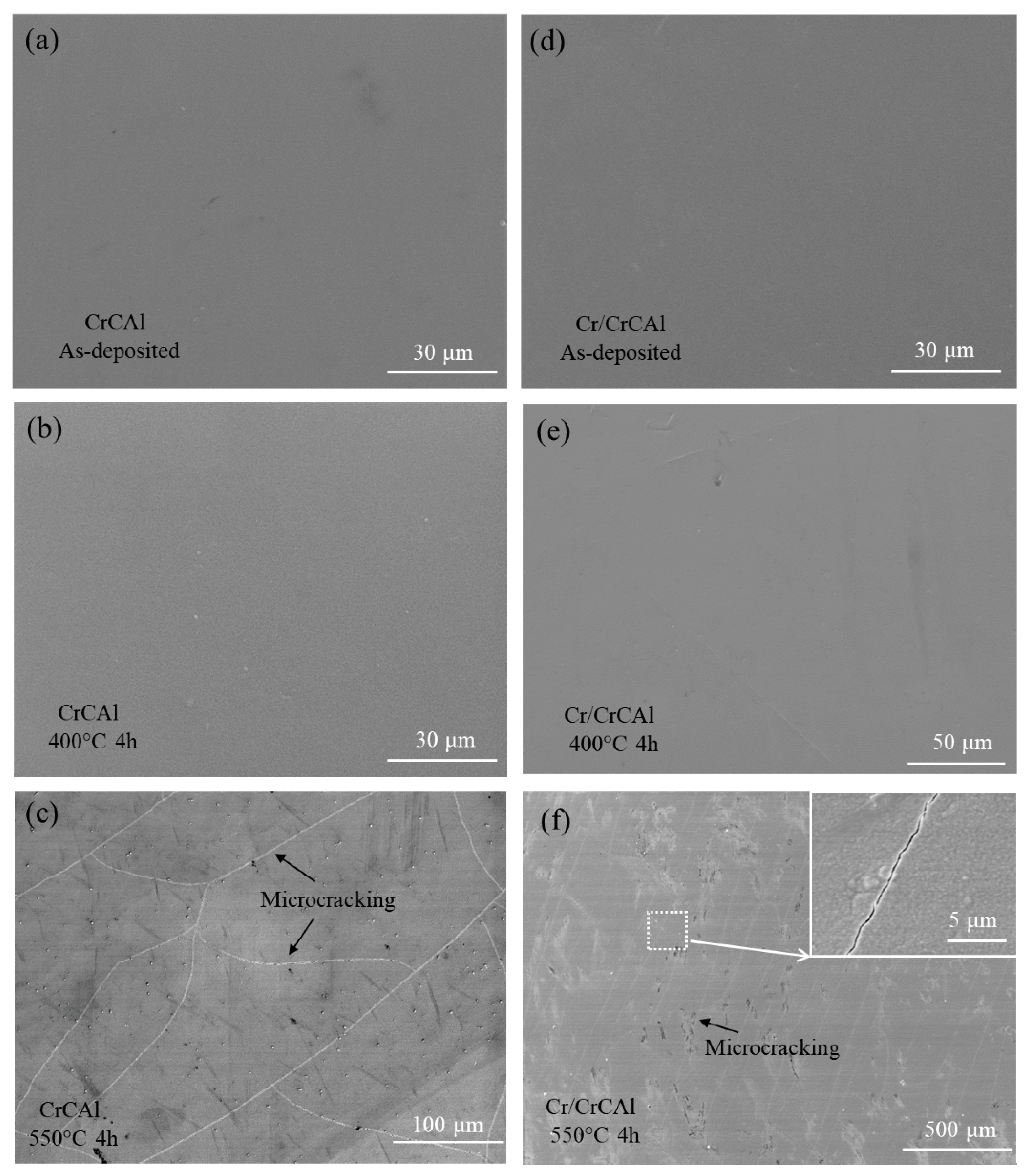 Coatings 12 00167 g002 550