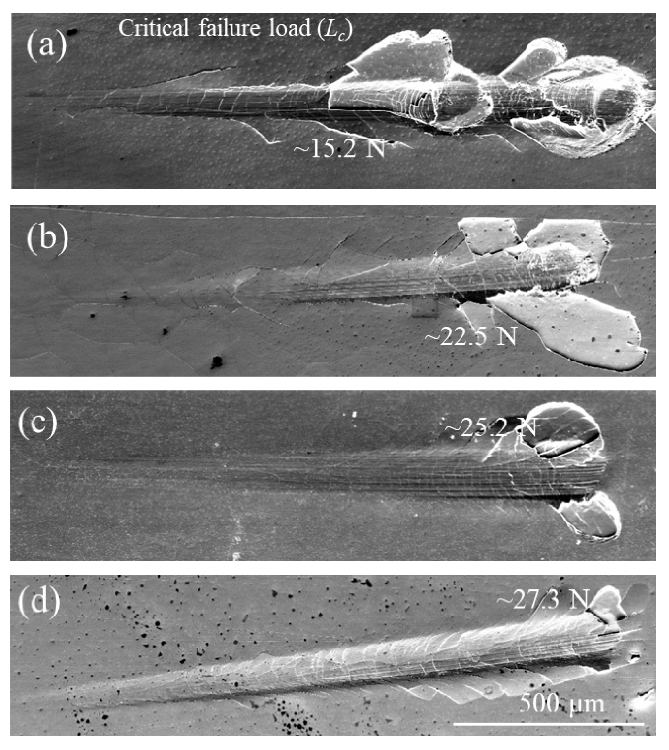 Coatings 12 00167 g004 550