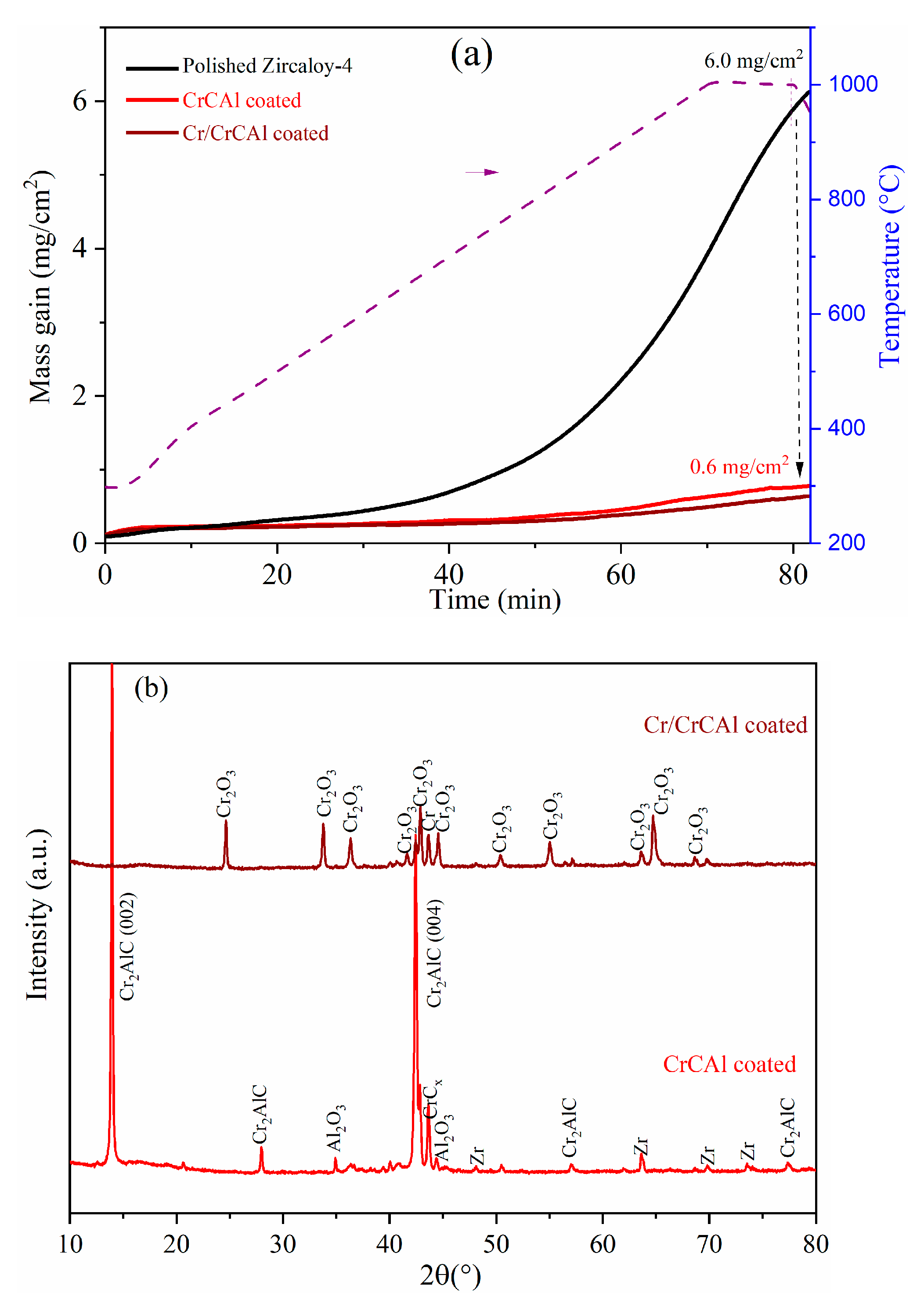 Coatings 12 00167 g005 550