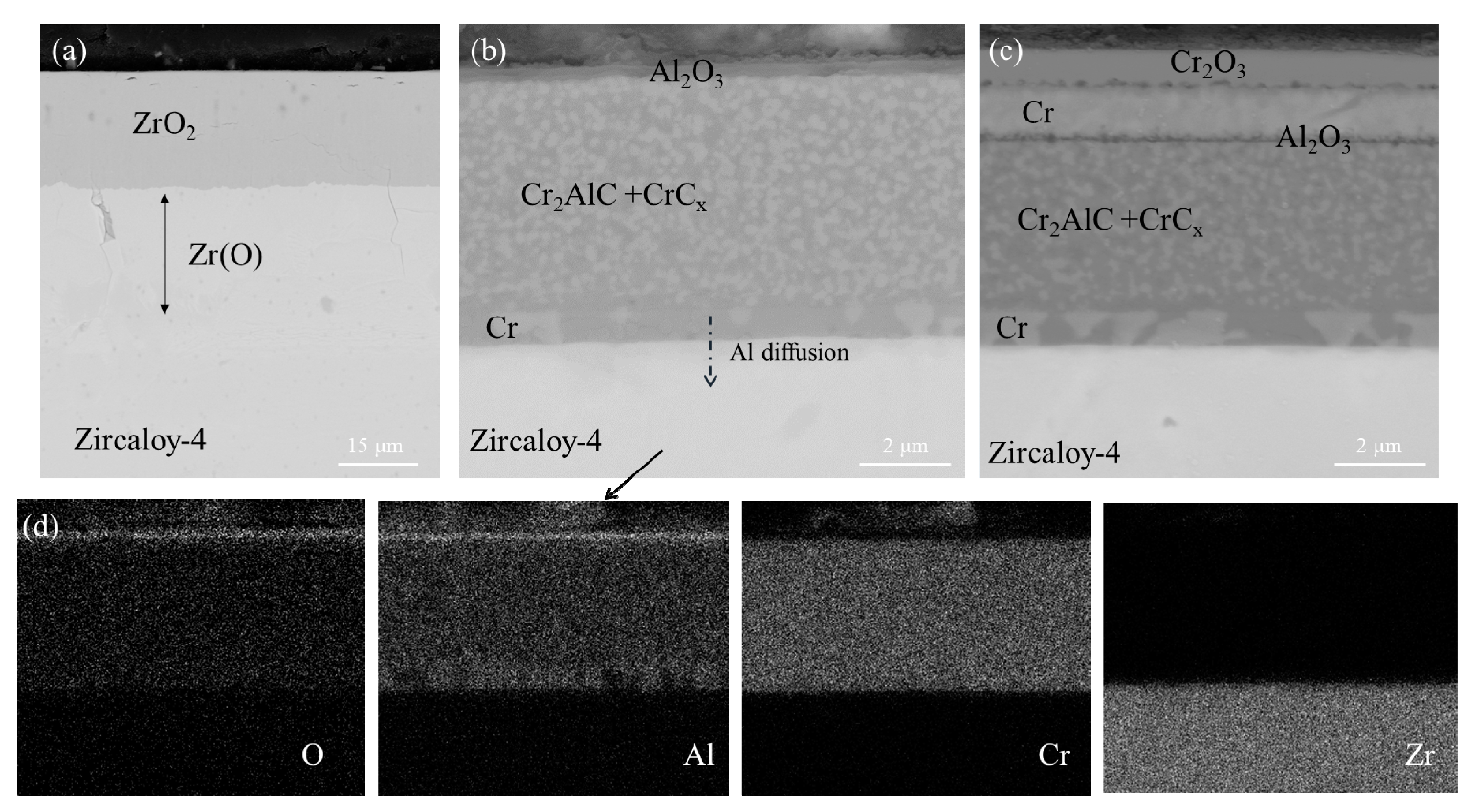 Coatings 12 00167 g006 550