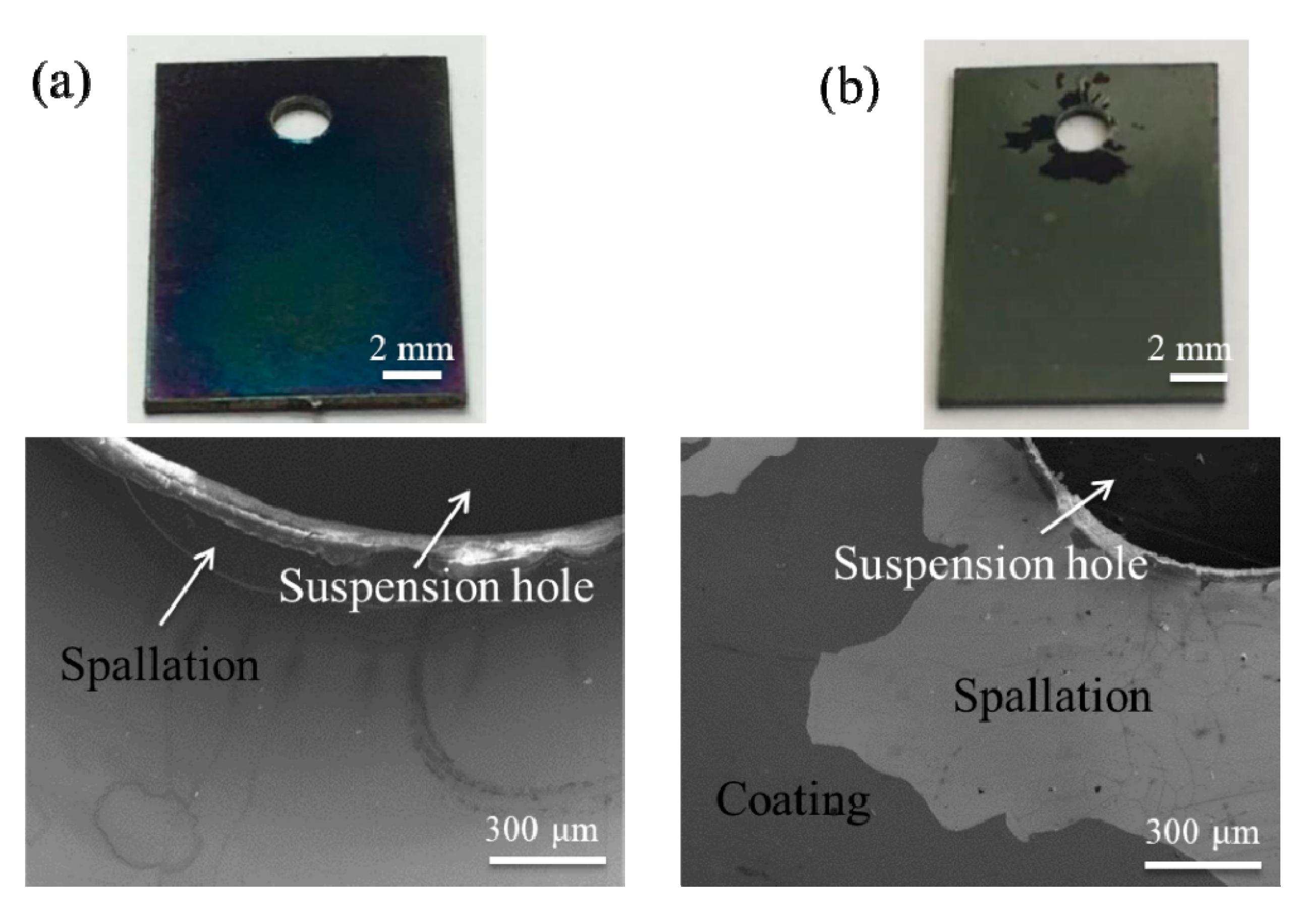 Coatings 12 00167 g007 550