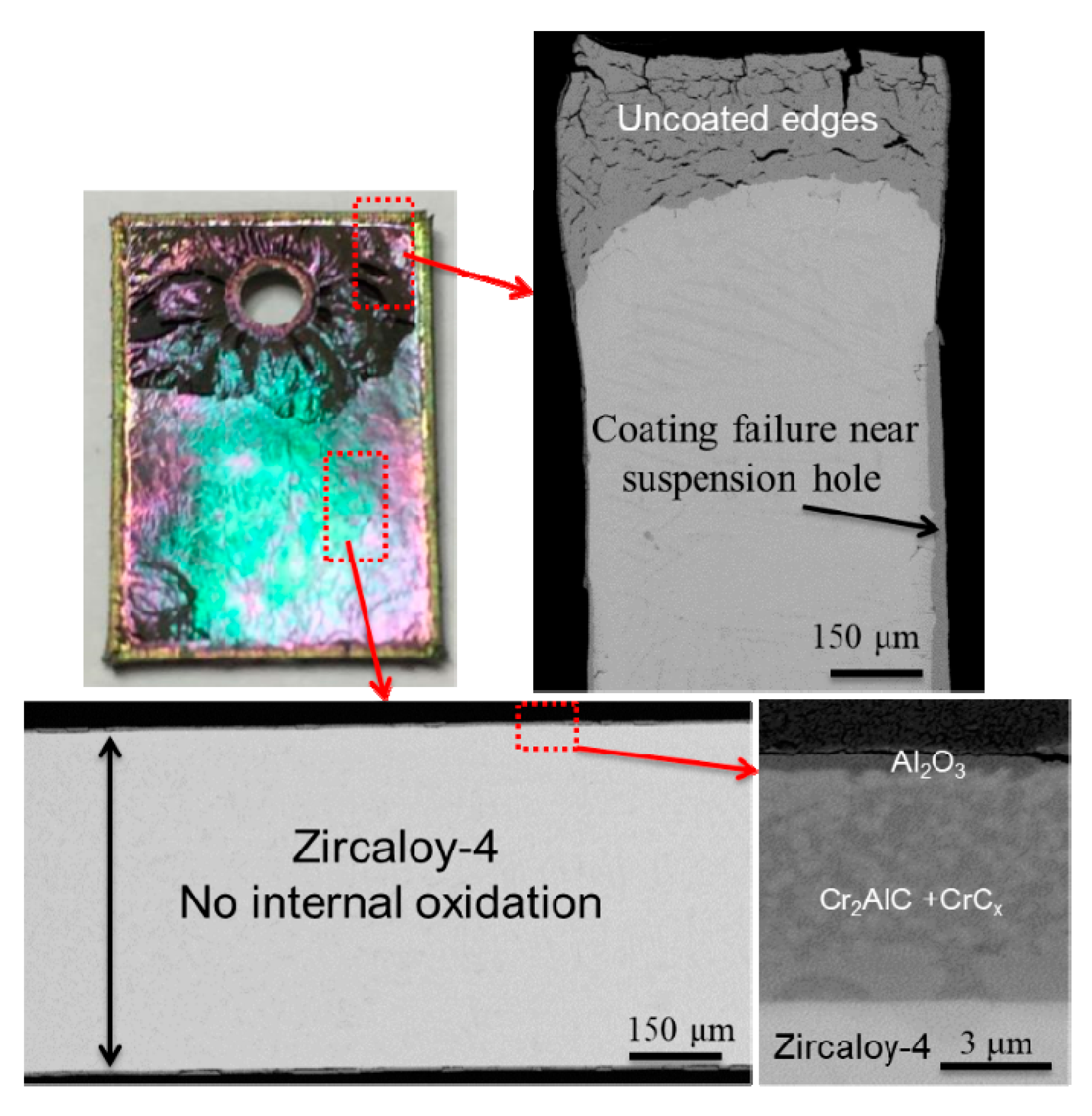 Coatings 12 00167 g008 550