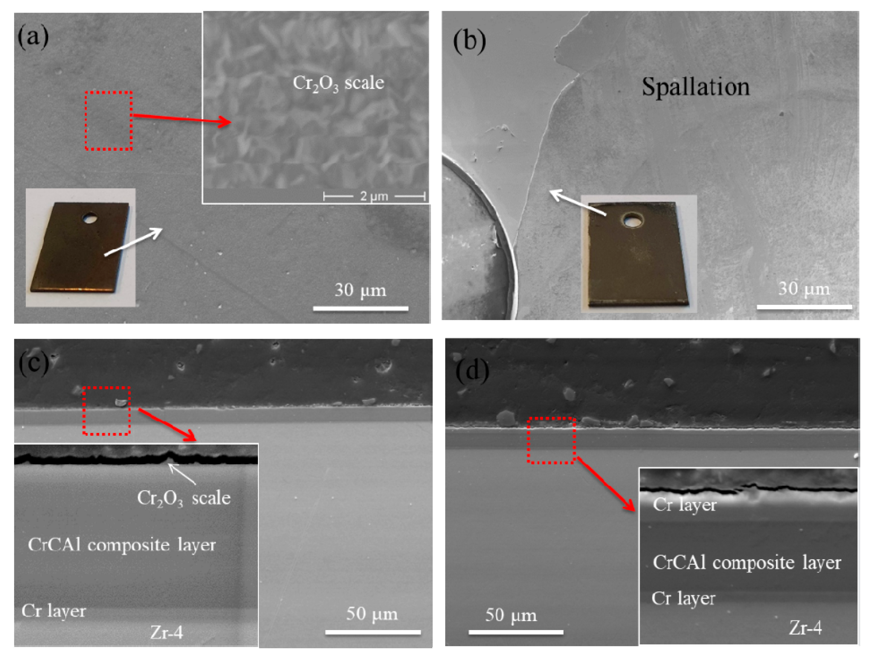 Coatings 12 00167 g009 550