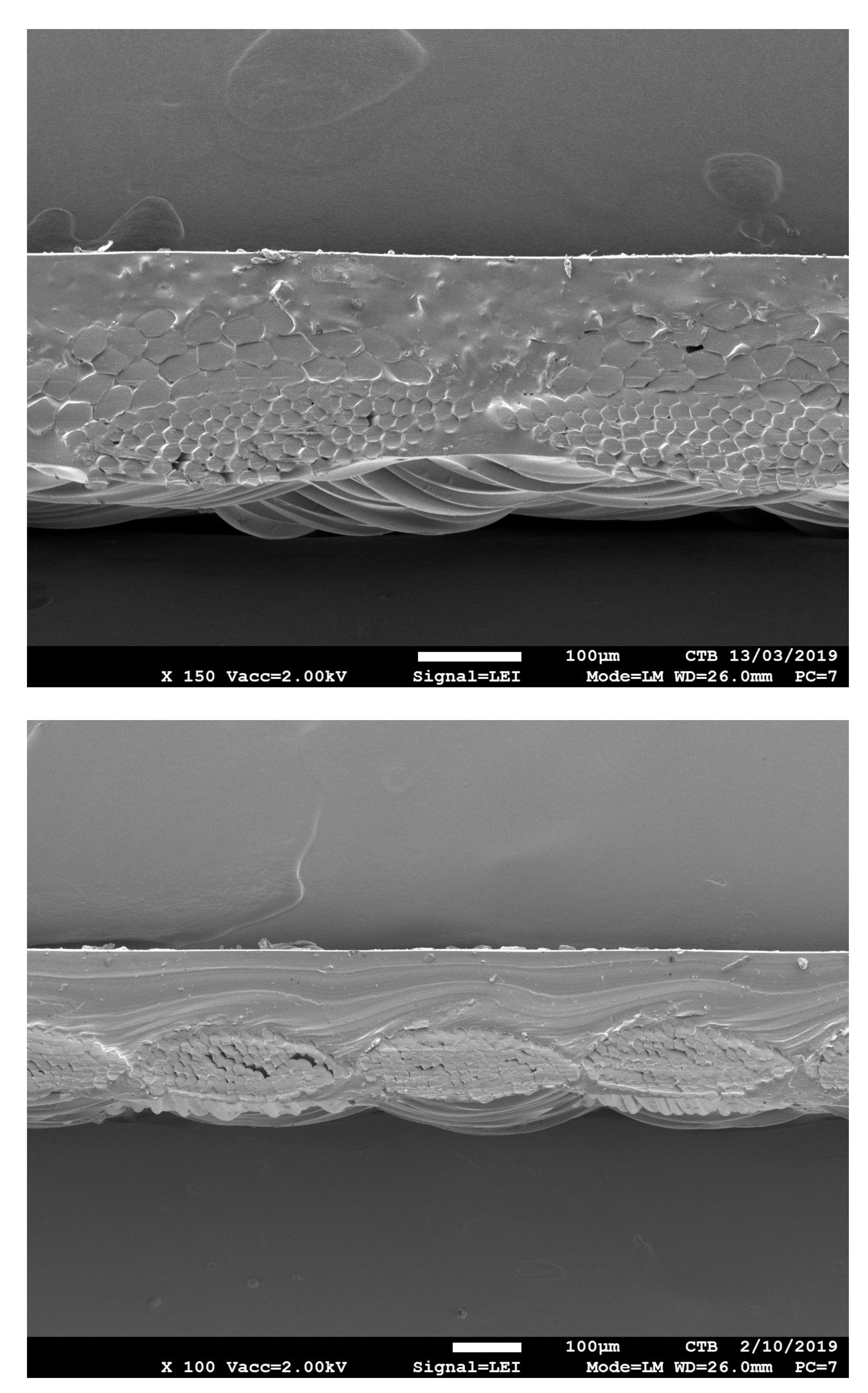 Coatings 12 00169 g004 550