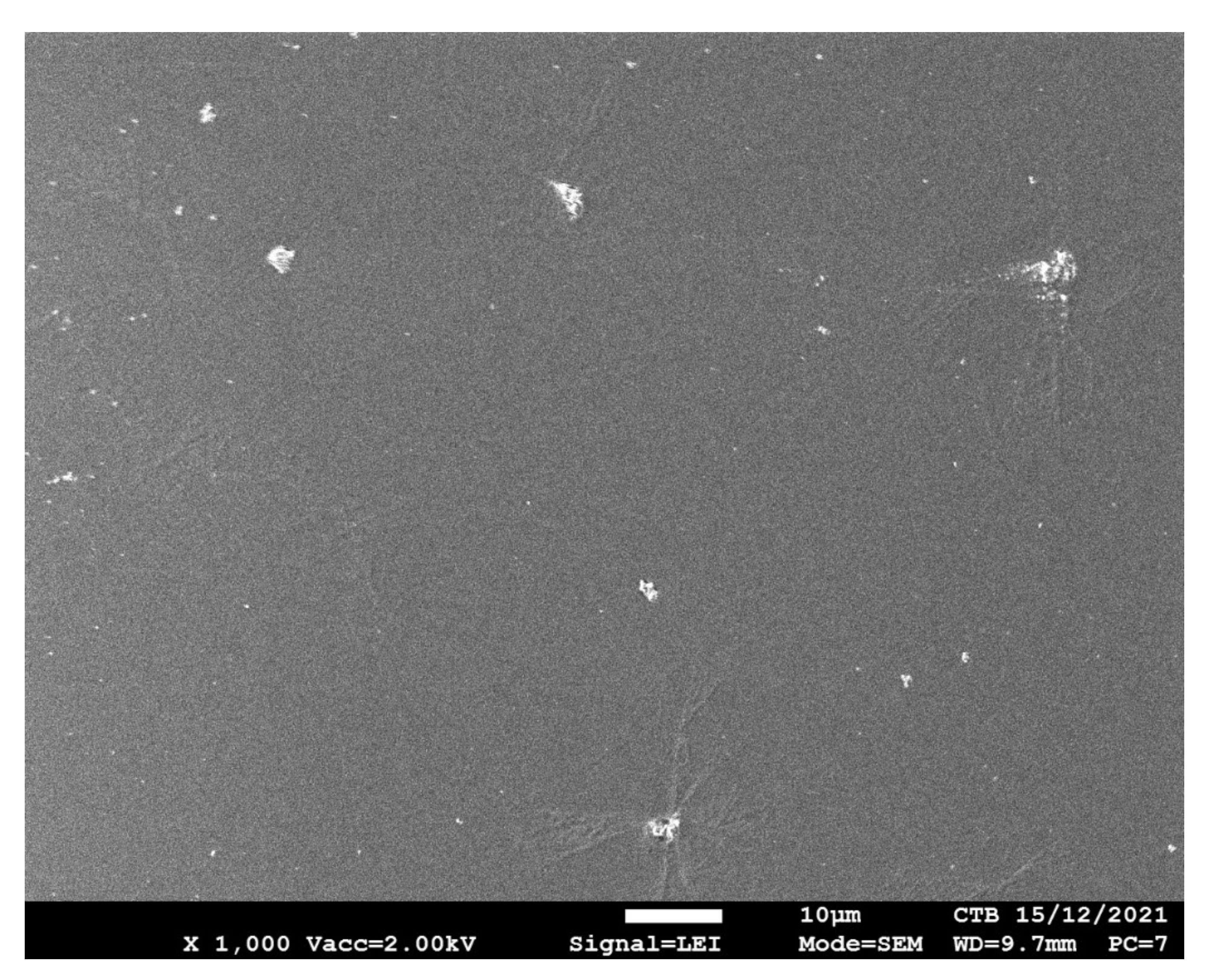 Coatings 12 00169 g005 550