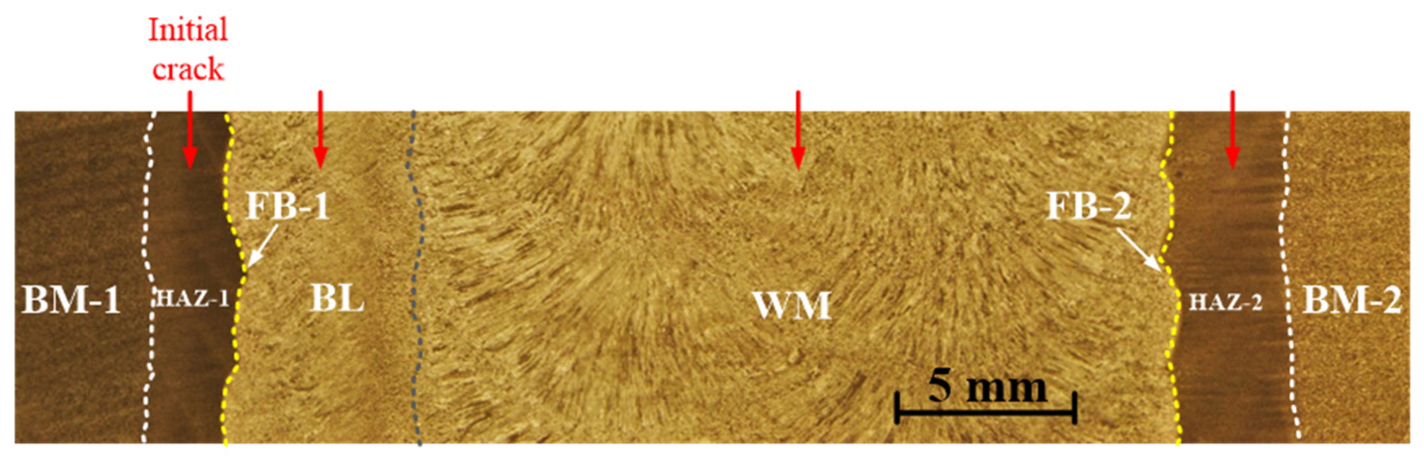 Coatings 12 00174 g002 550