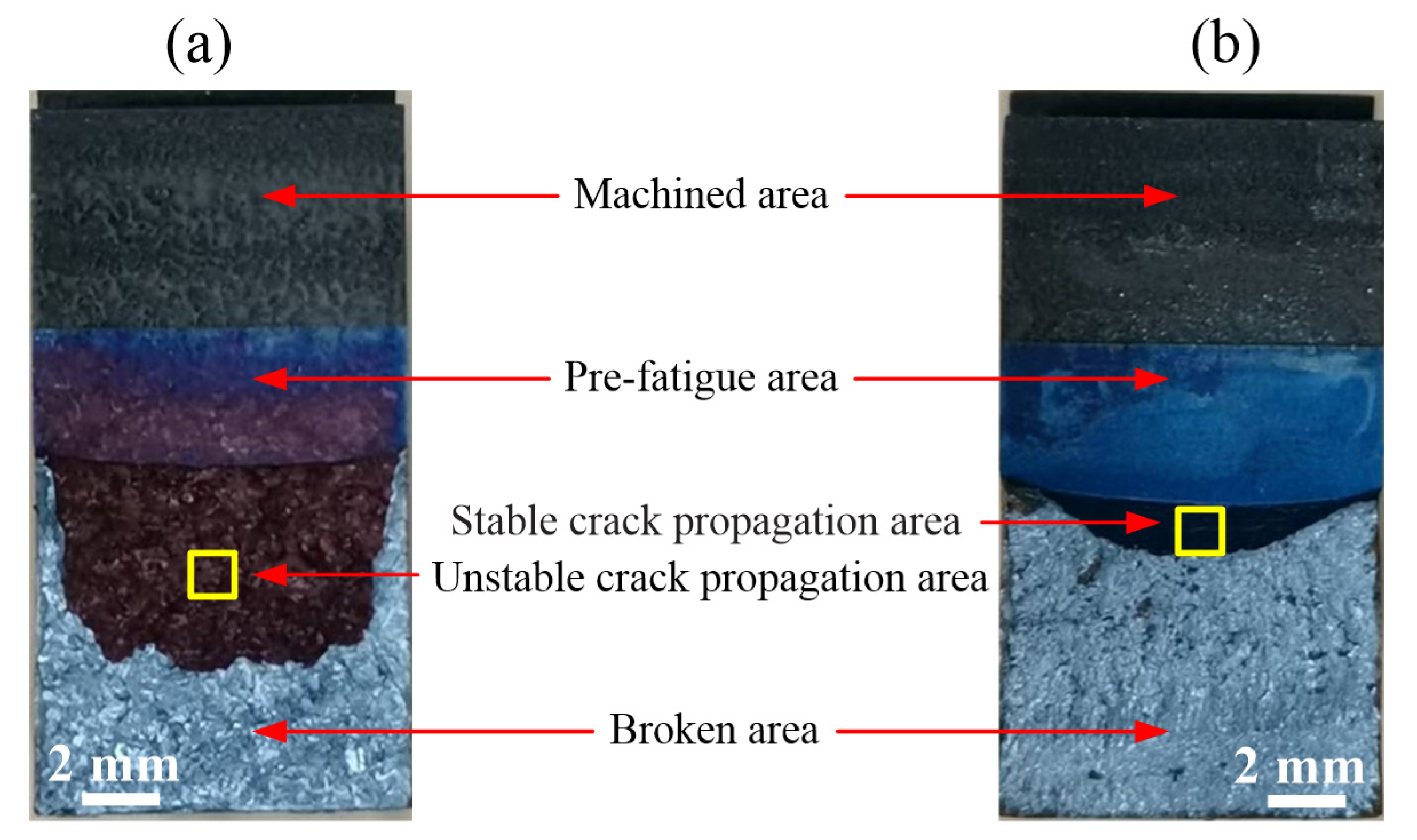 Coatings 12 00174 g005 550
