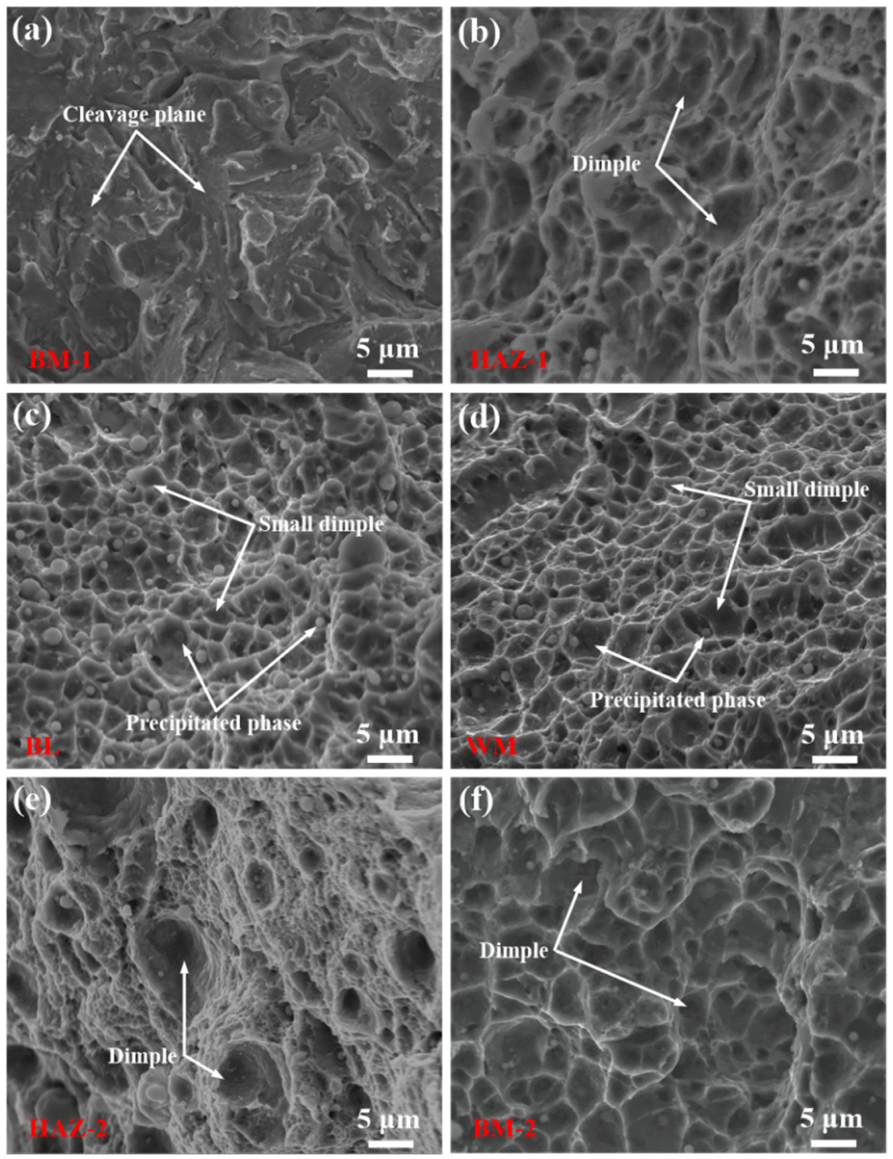 Coatings 12 00174 g006 550