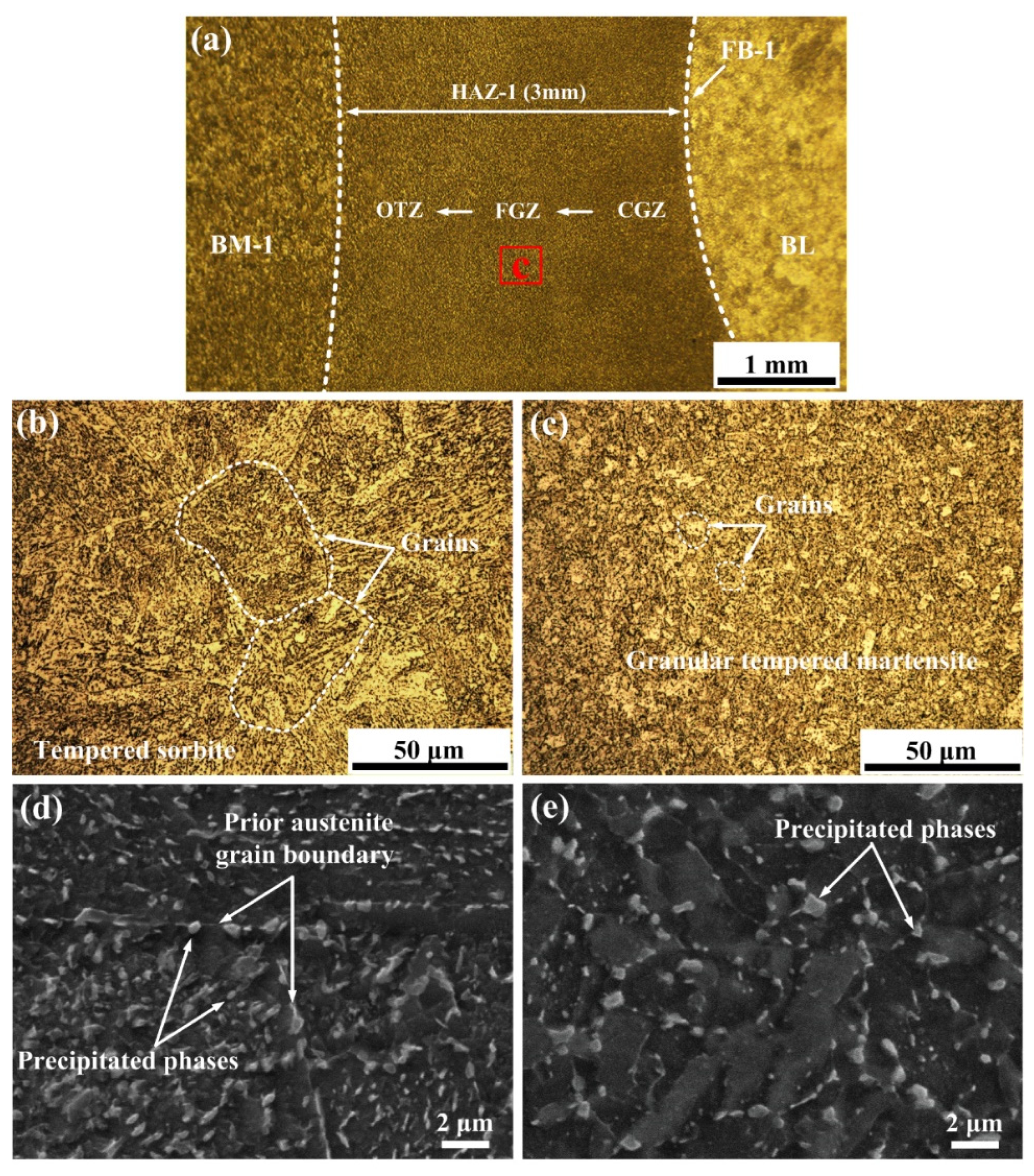 Coatings 12 00174 g007 550