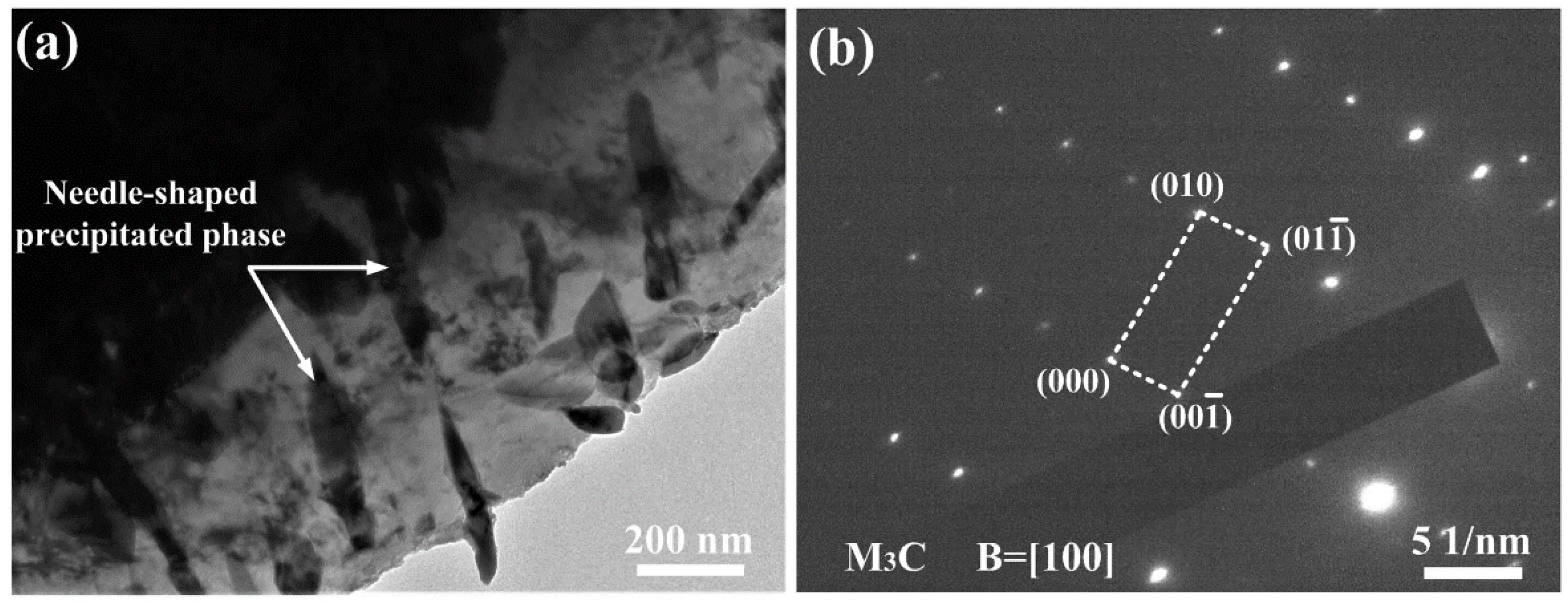 Coatings 12 00174 g008 550