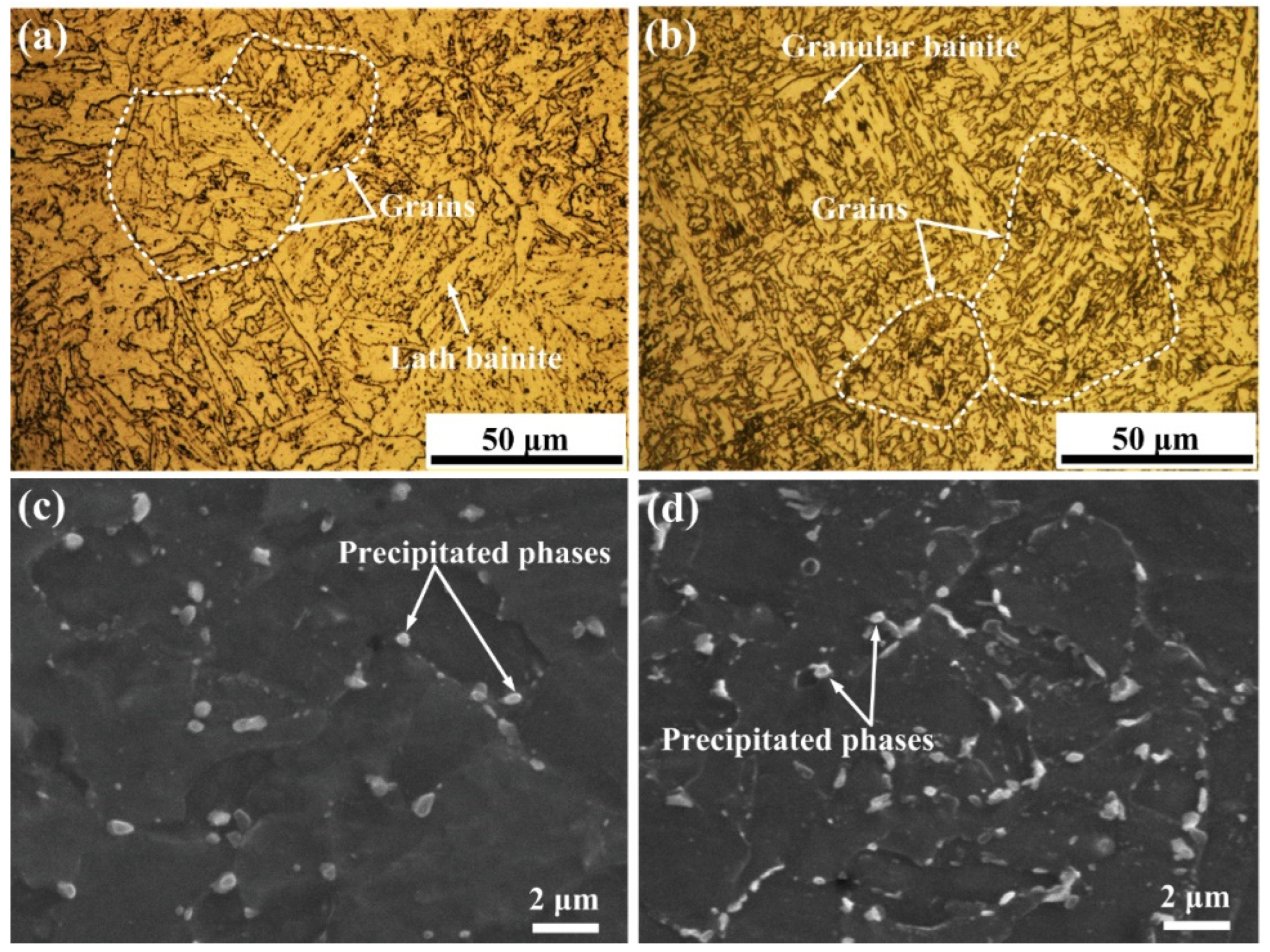 Coatings 12 00174 g009 550