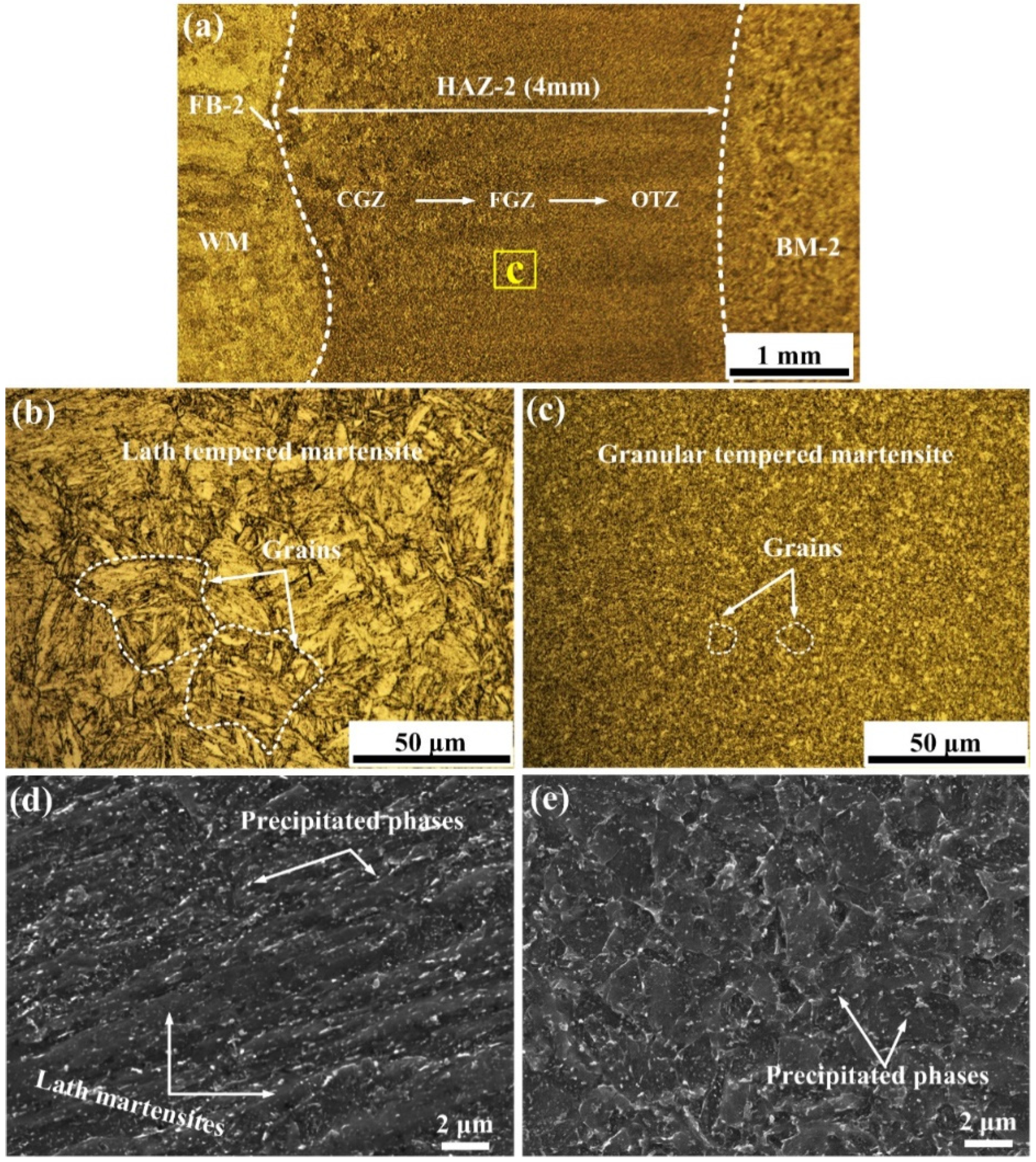 Coatings 12 00174 g011 550