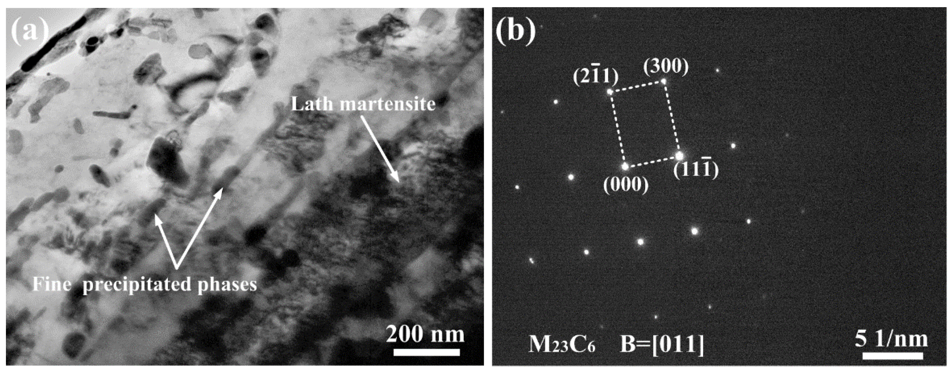 Coatings 12 00174 g012 550