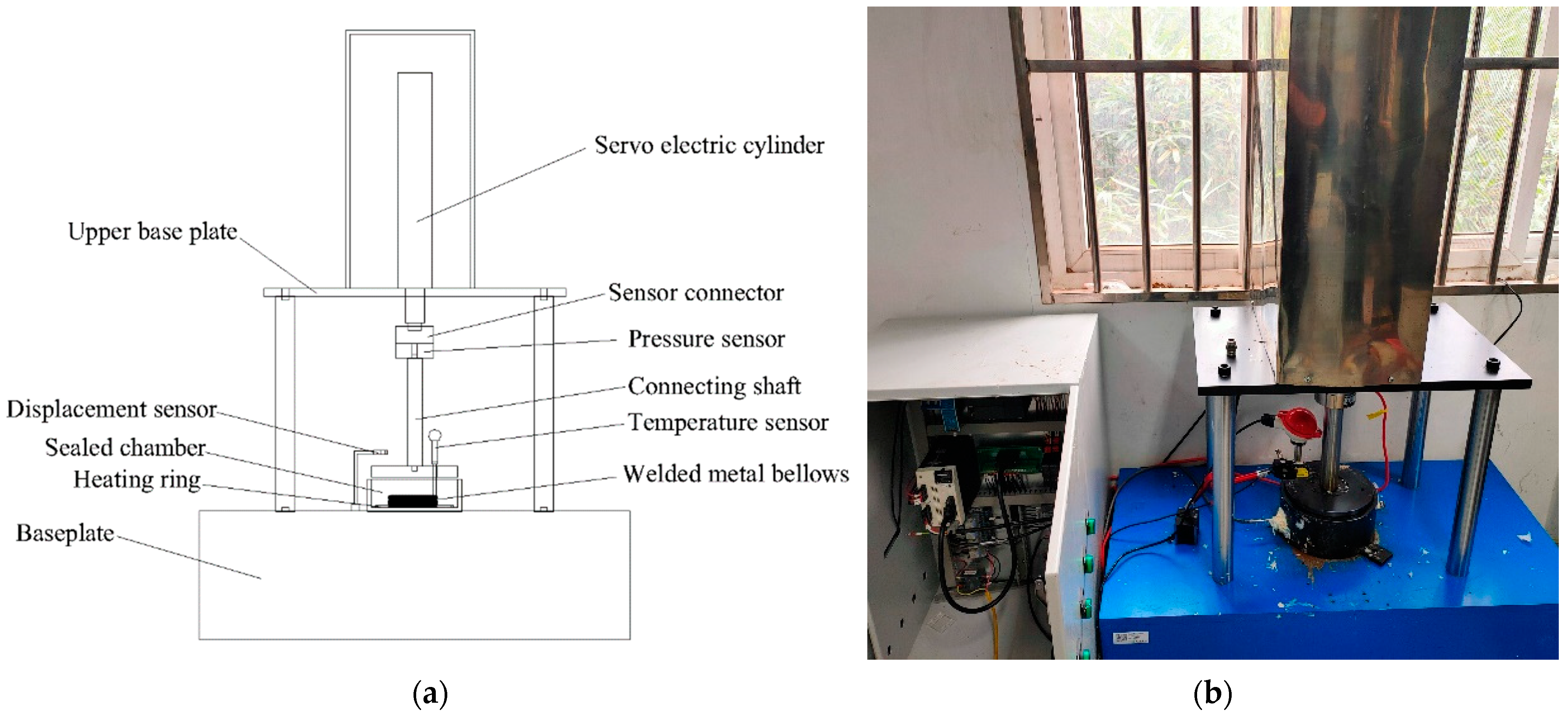 Coatings 12 00175 g001