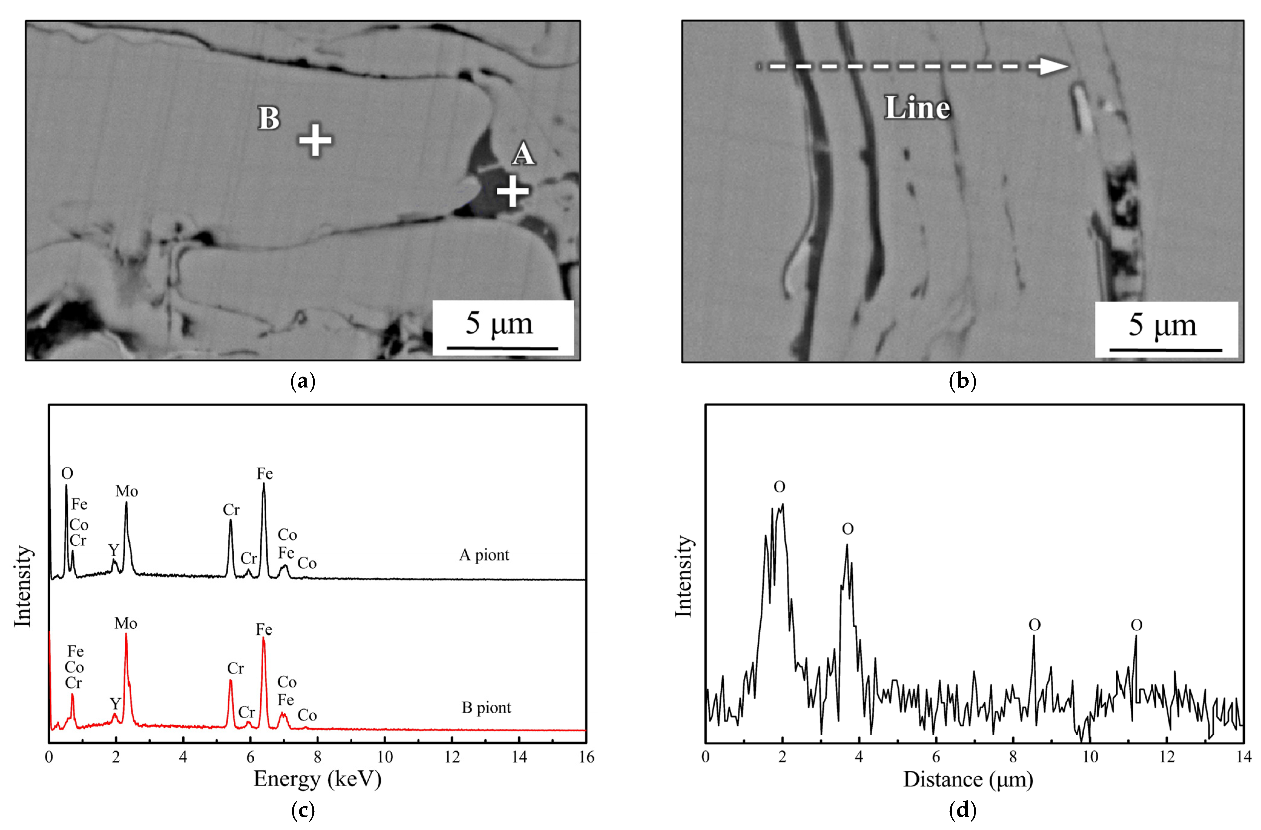 Coatings 12 00176 g010