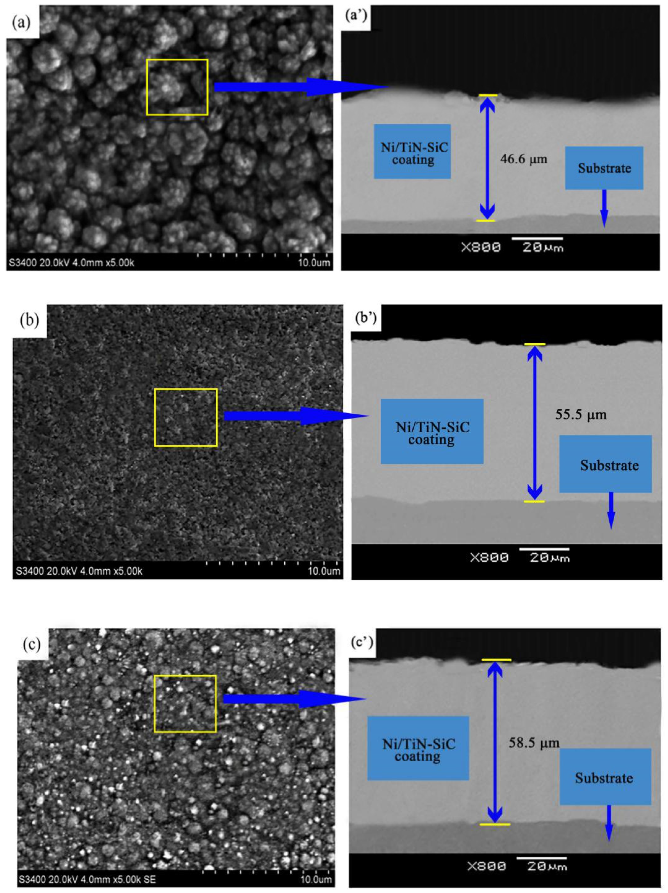 Coatings 12 00177 g003 550