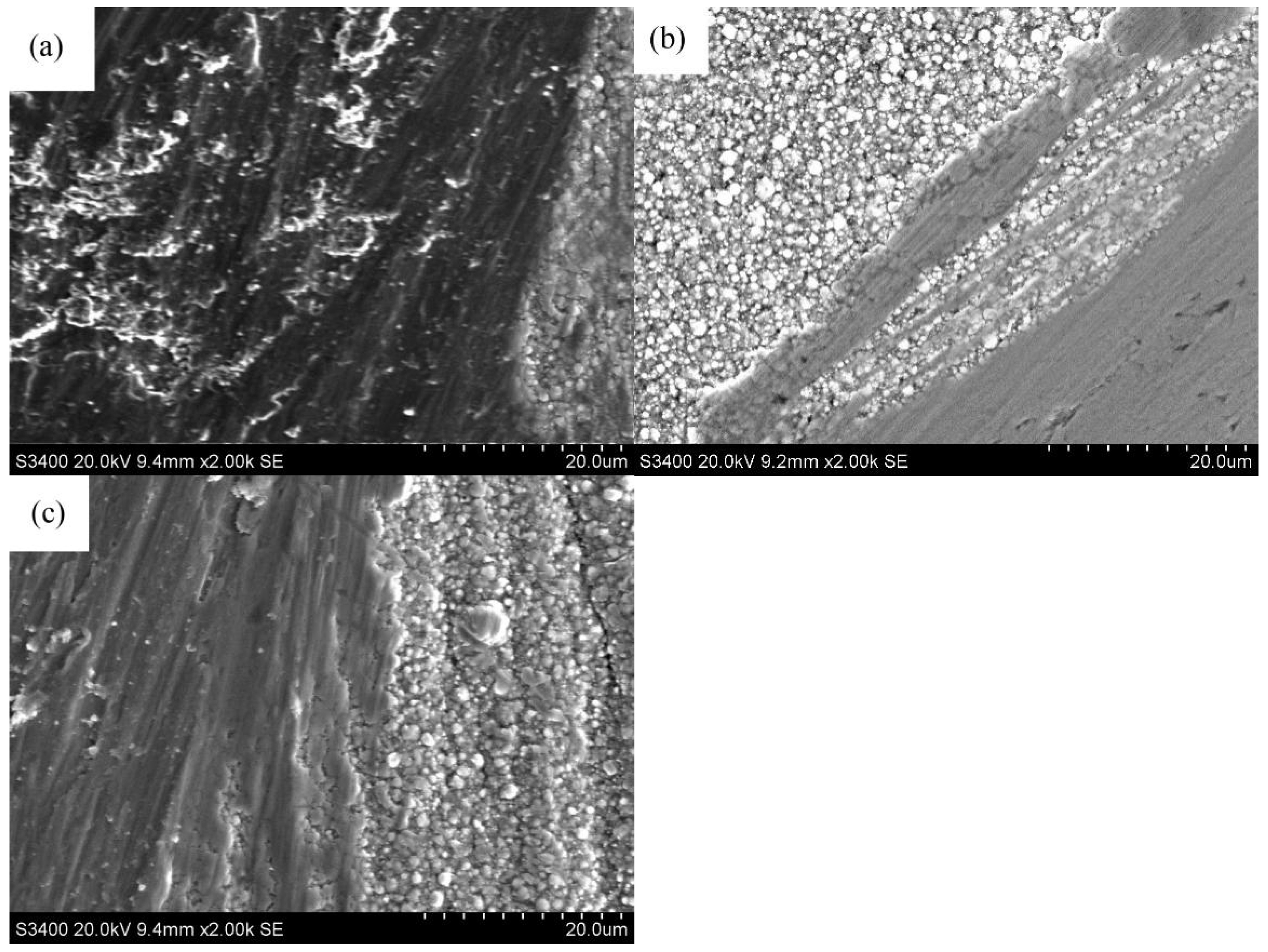 Coatings 12 00177 g009 550