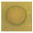 Coatings 12 00178 i009