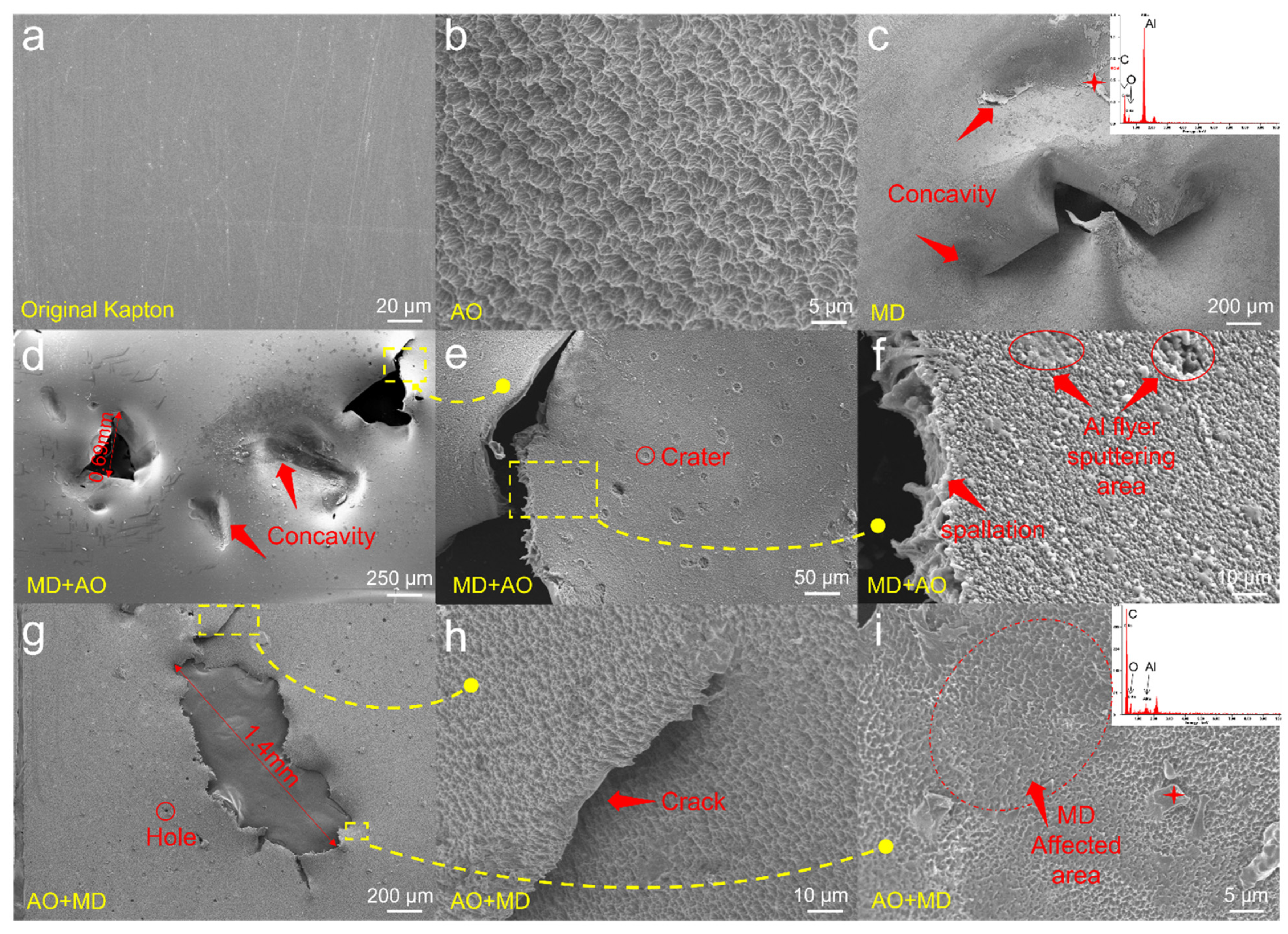 hsr22036-fig-0001-m.jpg