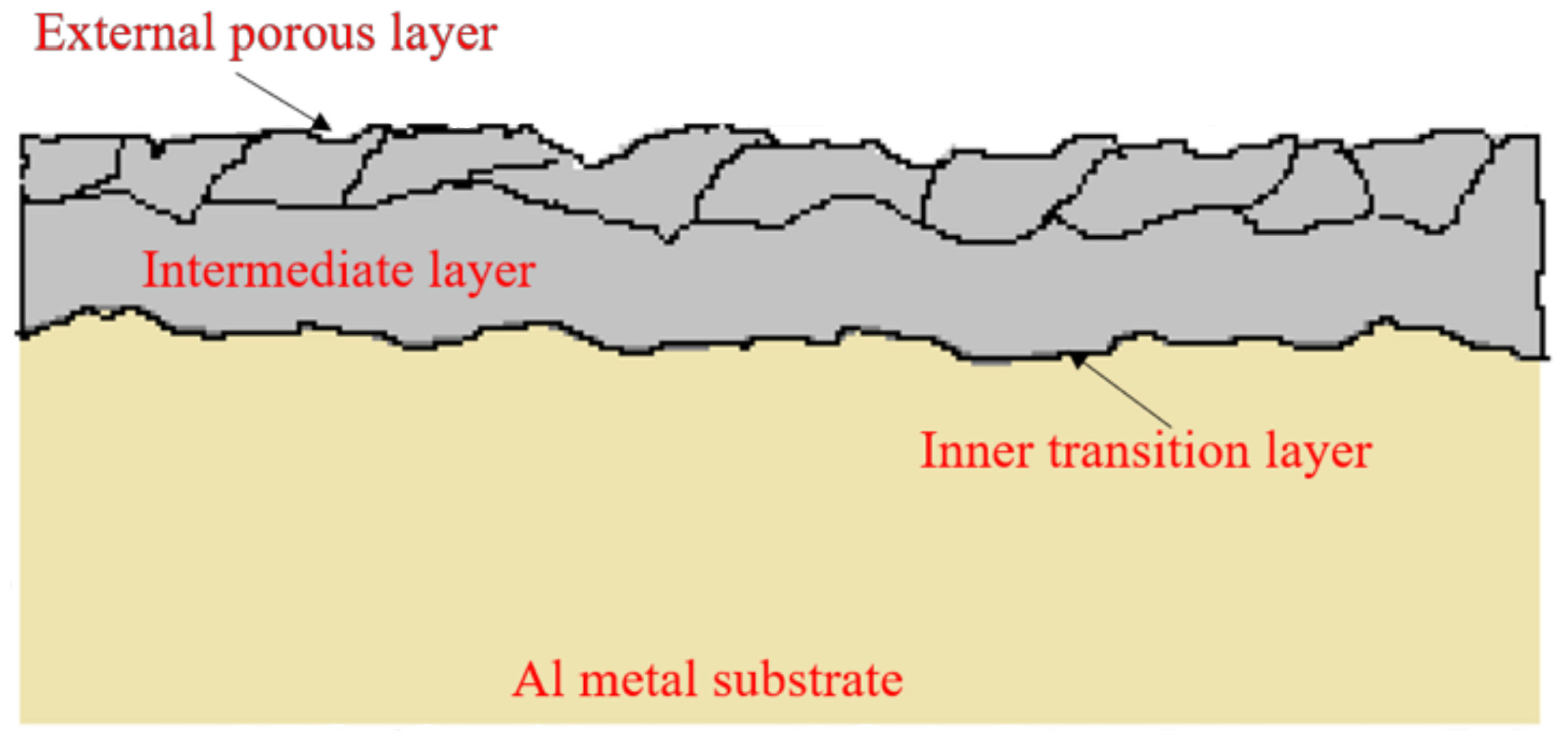 Coatings 12 00180 g002