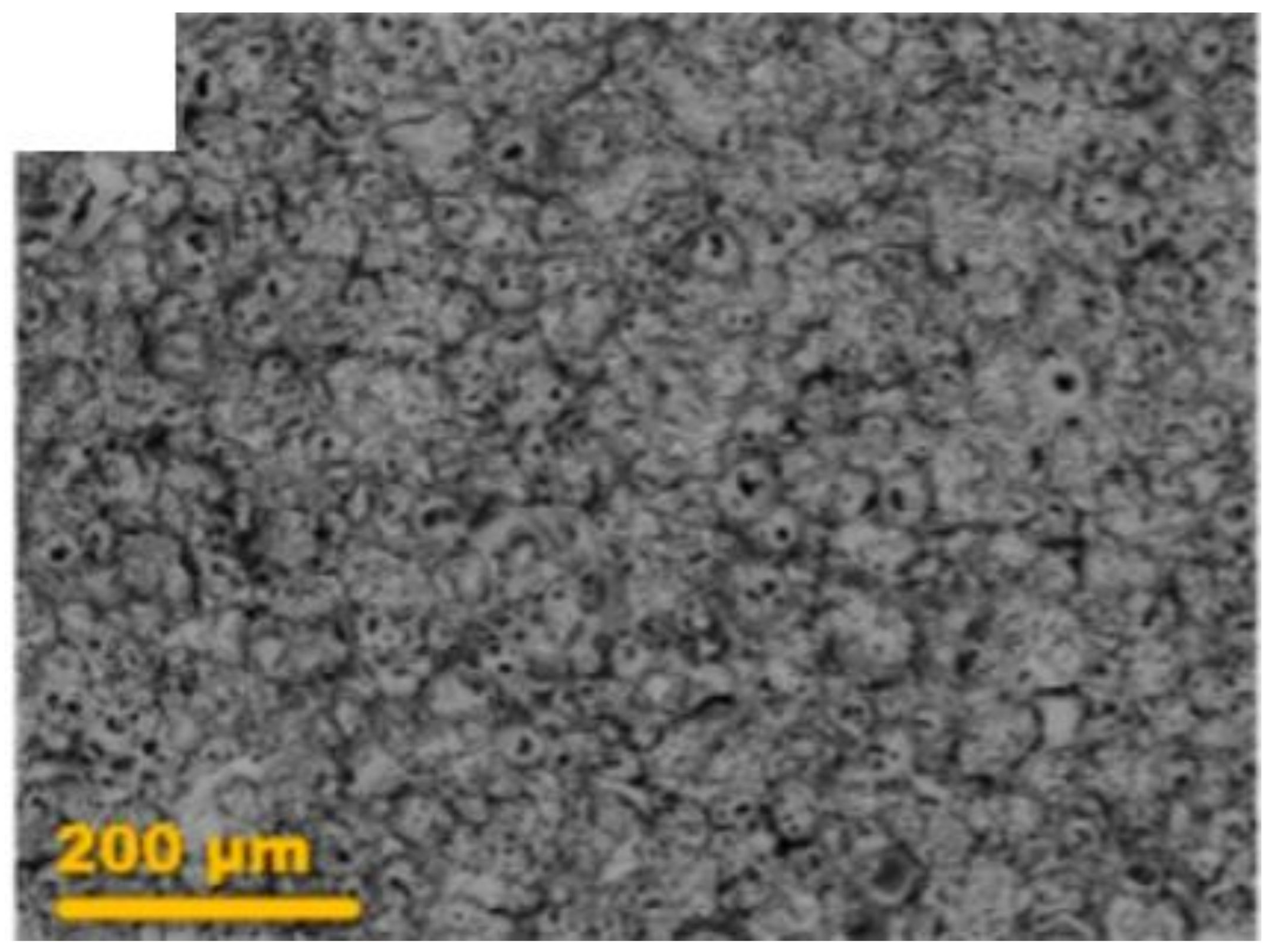 Coatings 12 00180 g004