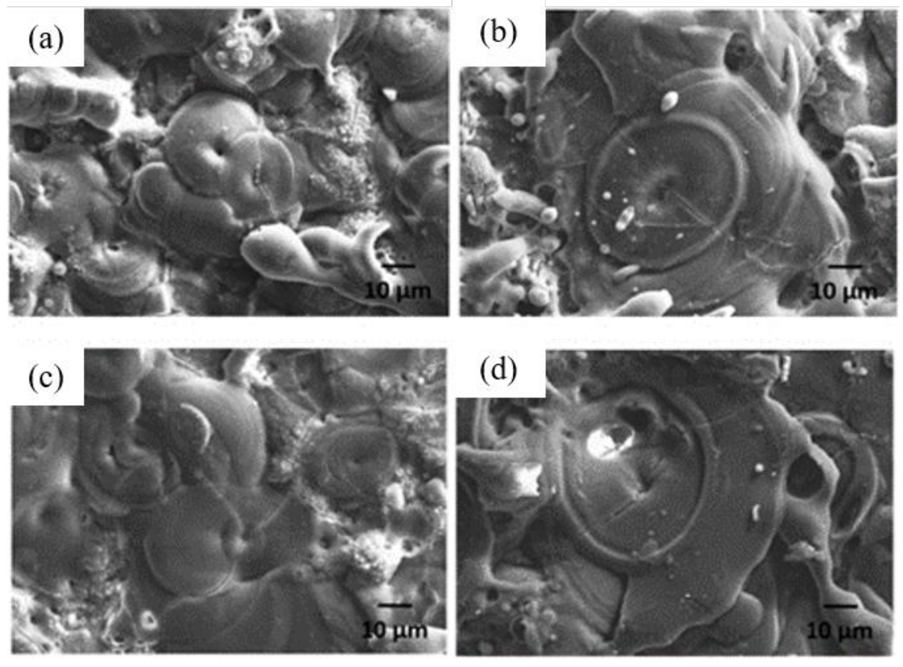 Coatings 12 00180 g005