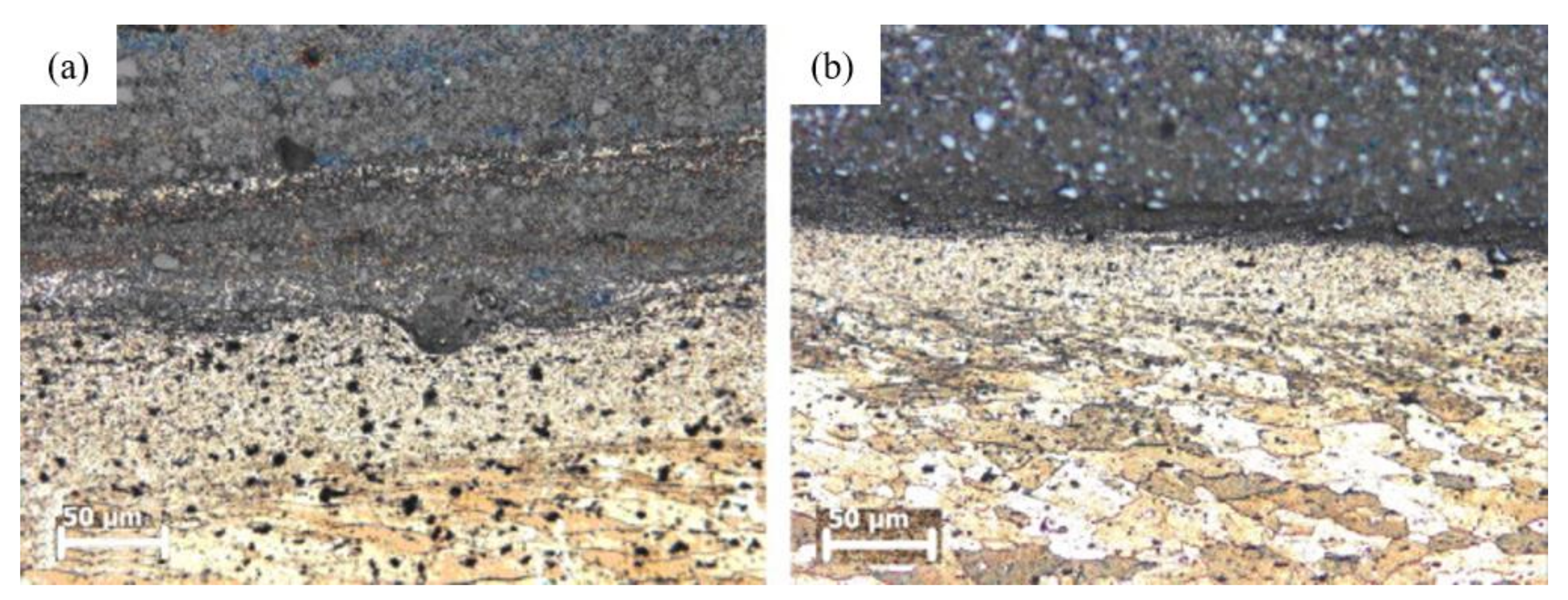 Coatings 12 00180 g011