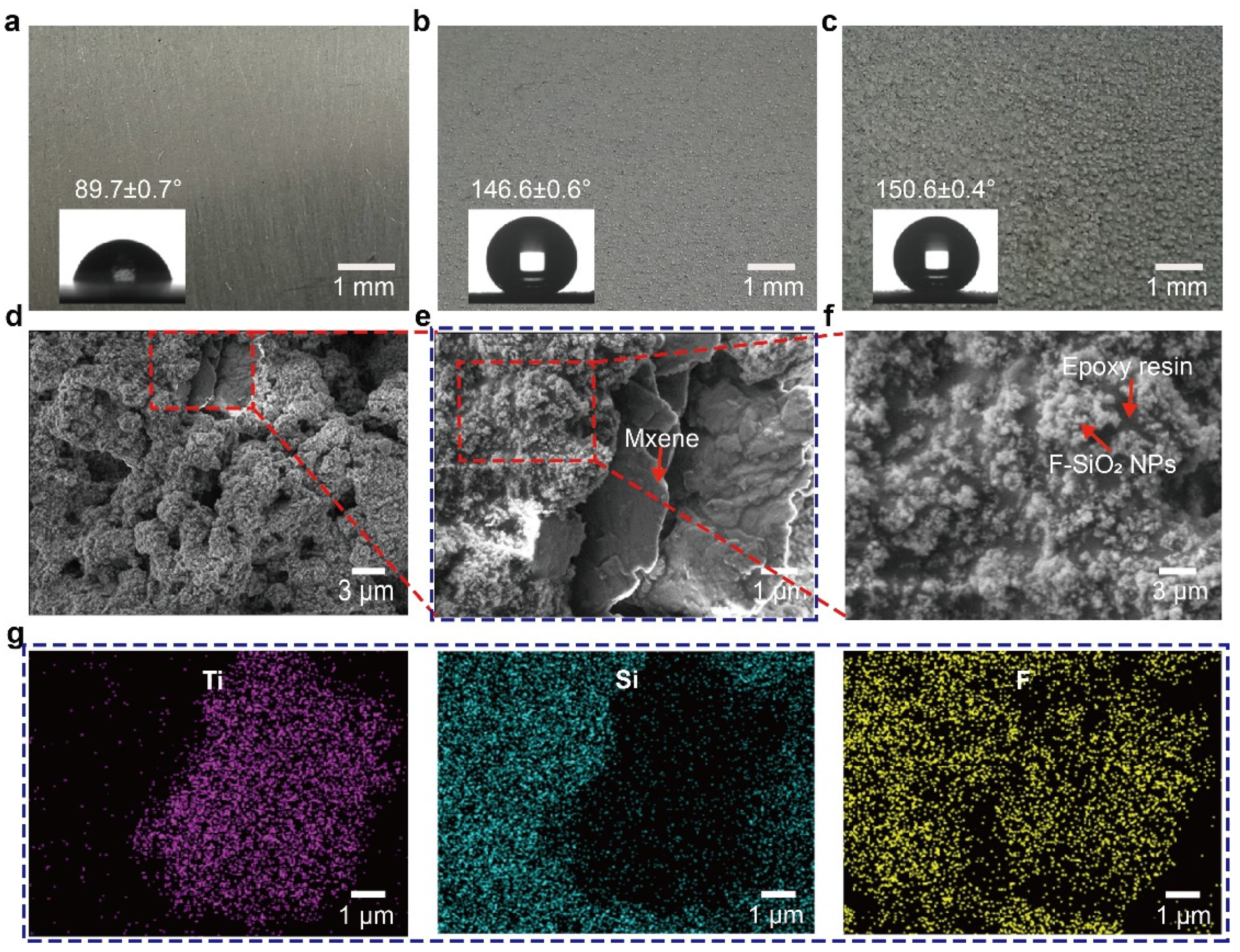 Coatings 12 00185 g002 550