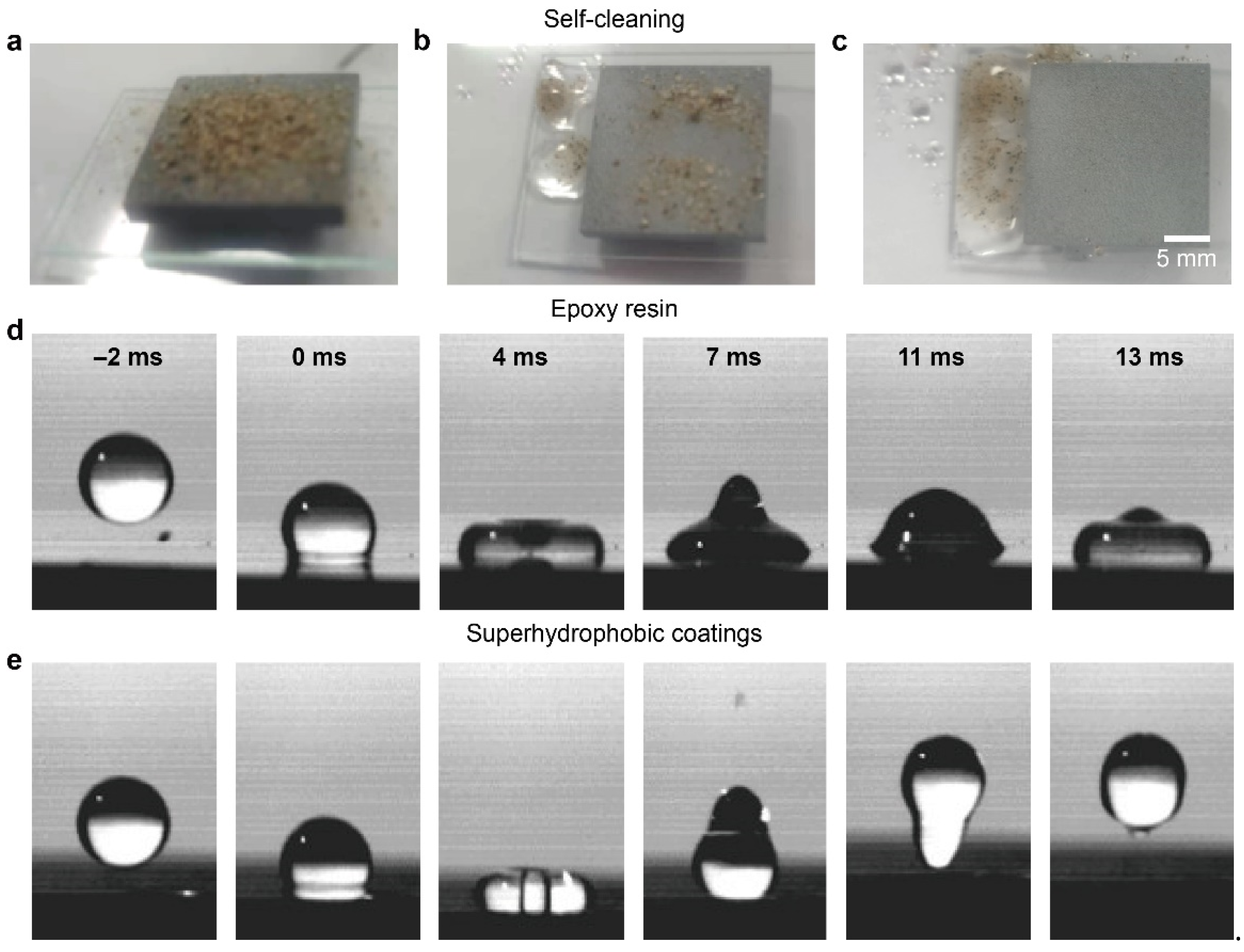 Coatings 12 00185 g003 550