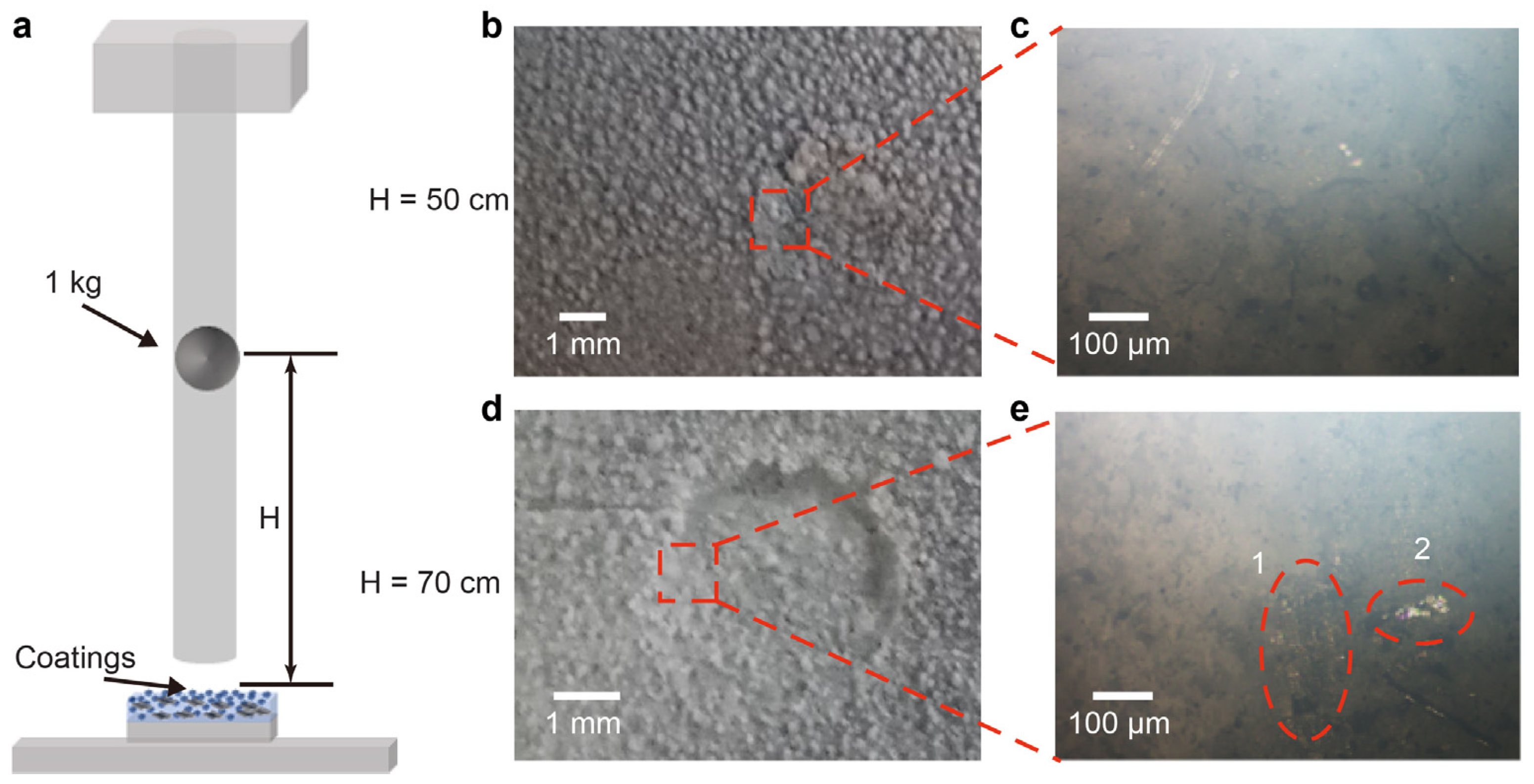 Coatings 12 00185 g006 550