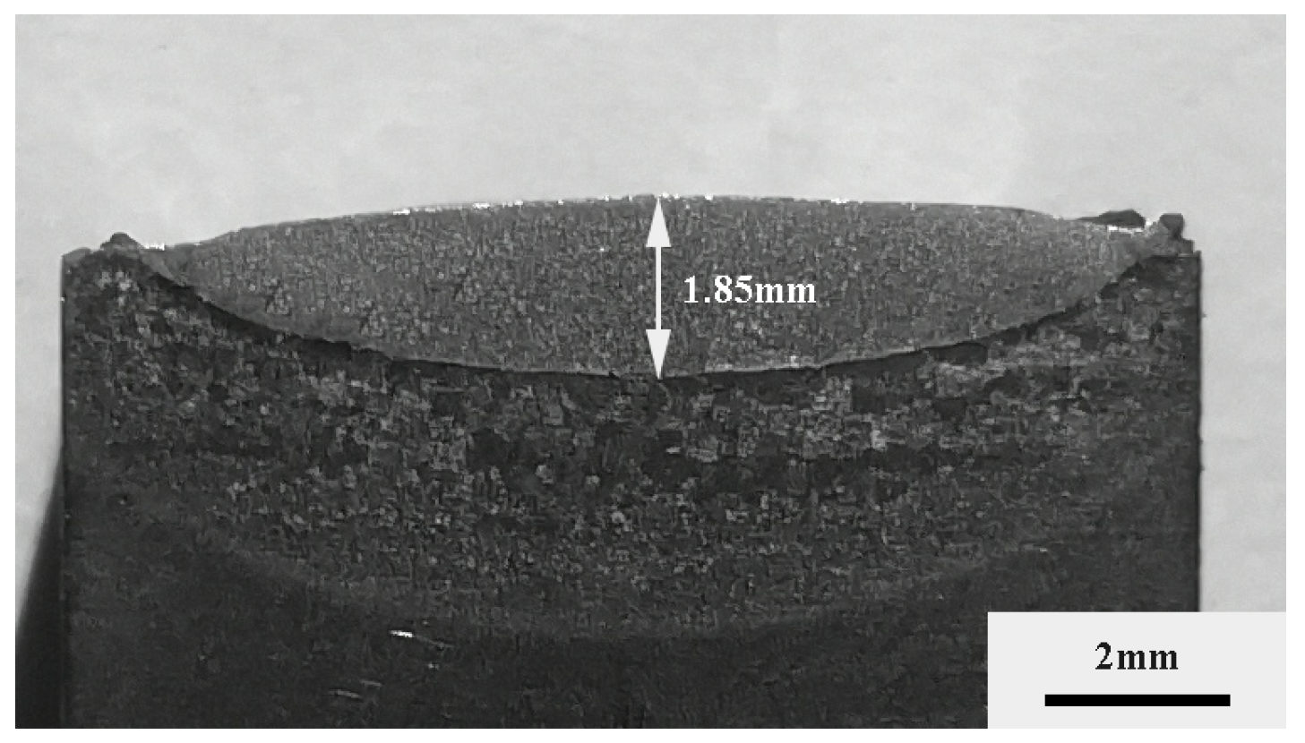 Coatings 12 00187 g002 550