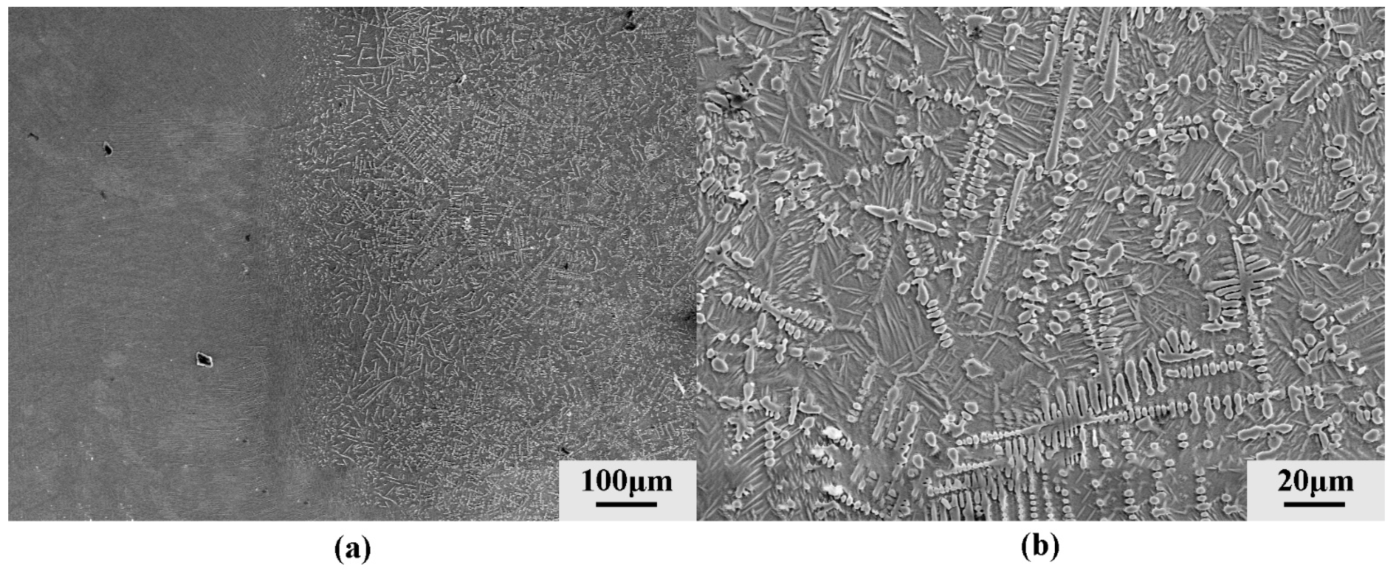 Coatings 12 00187 g003 550