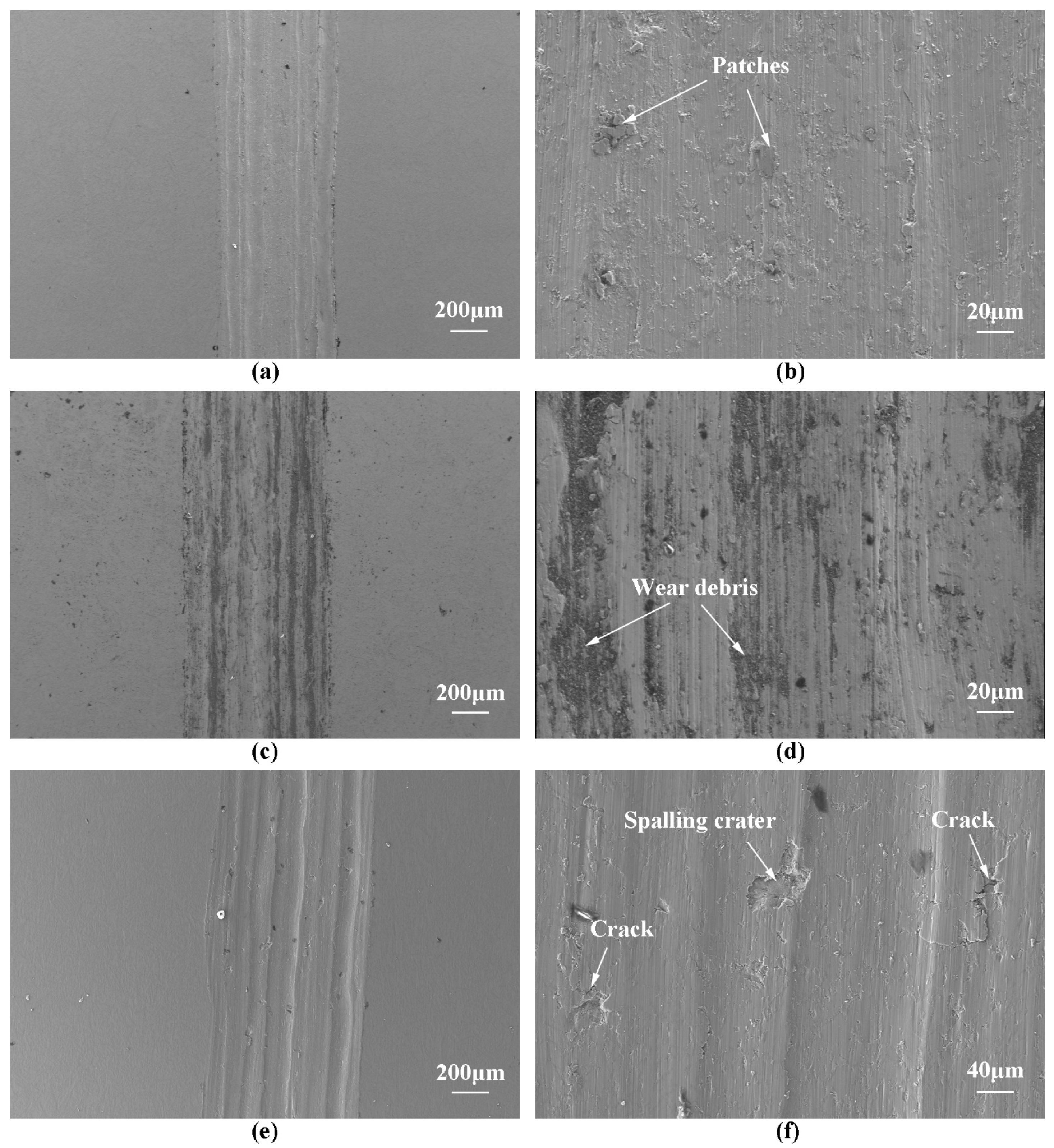 Coatings 12 00187 g012 550