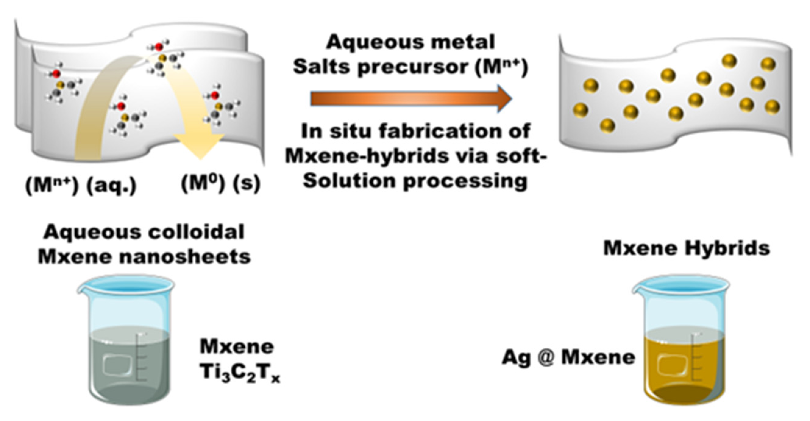 Coatings 12 00189 g001 550