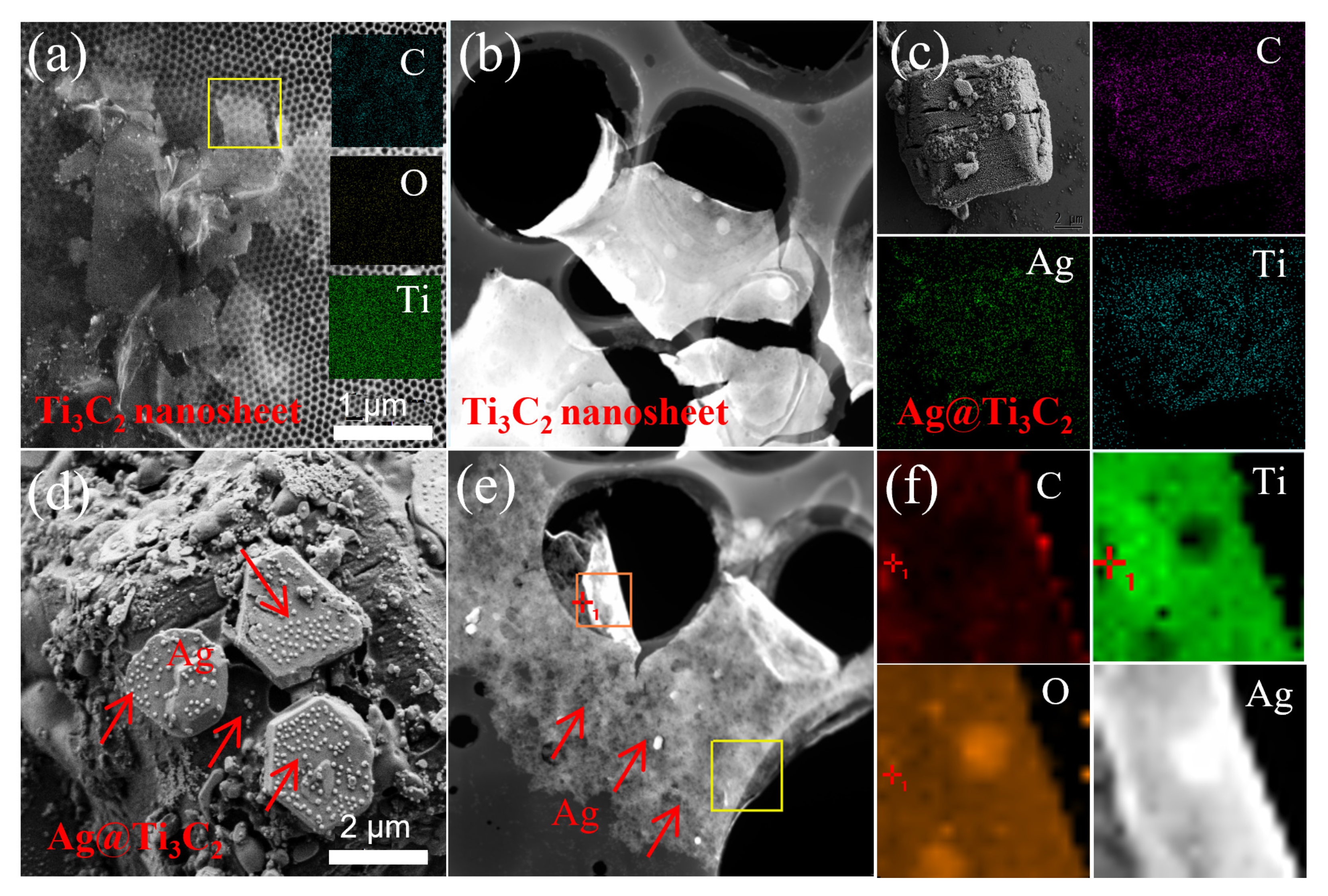 Coatings 12 00189 g002 550