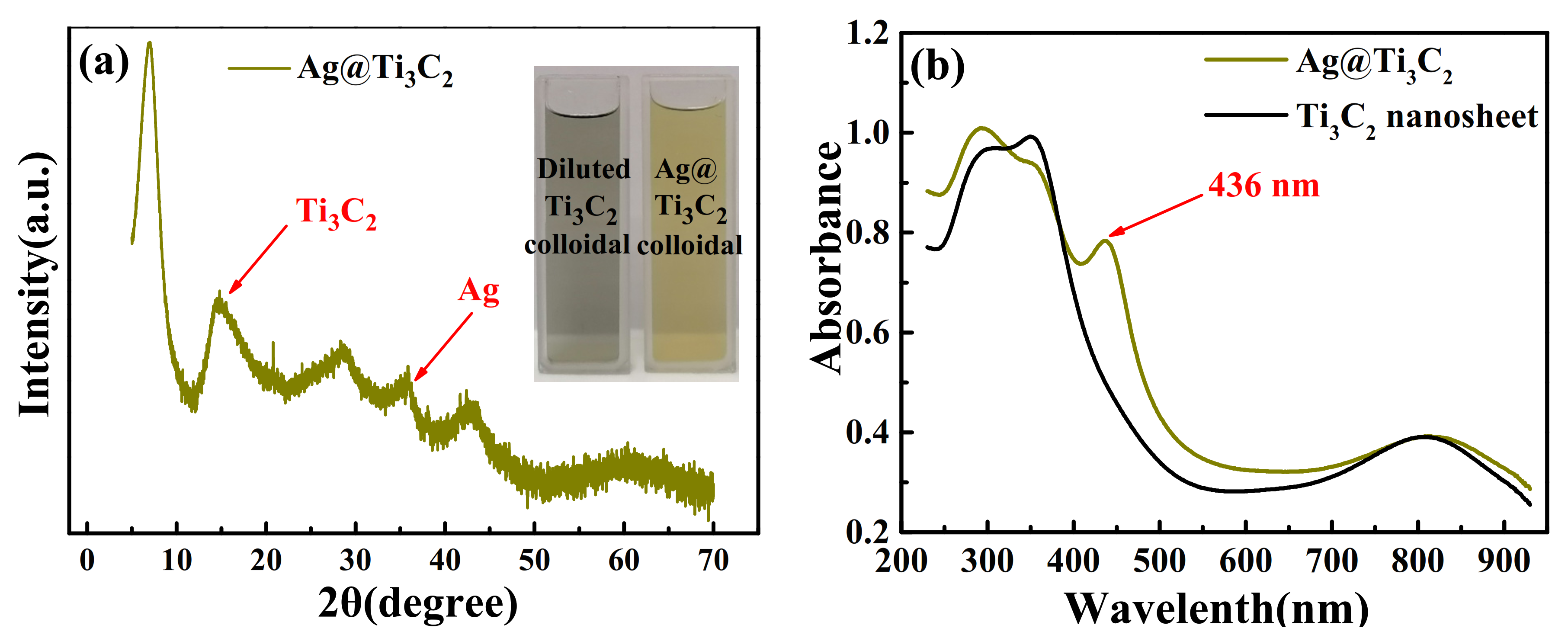 Coatings 12 00189 g003 550