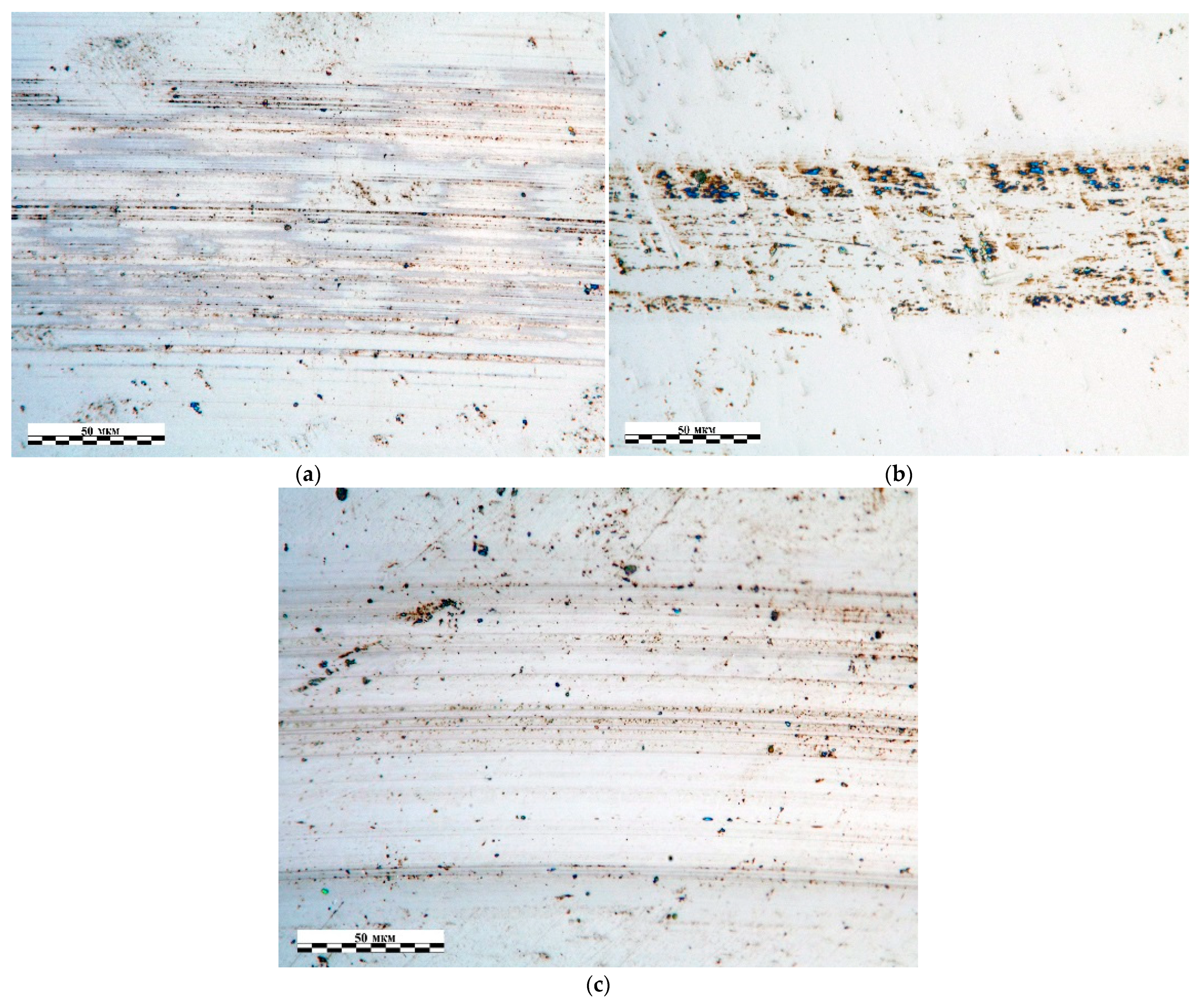 Coatings 12 00193 g006