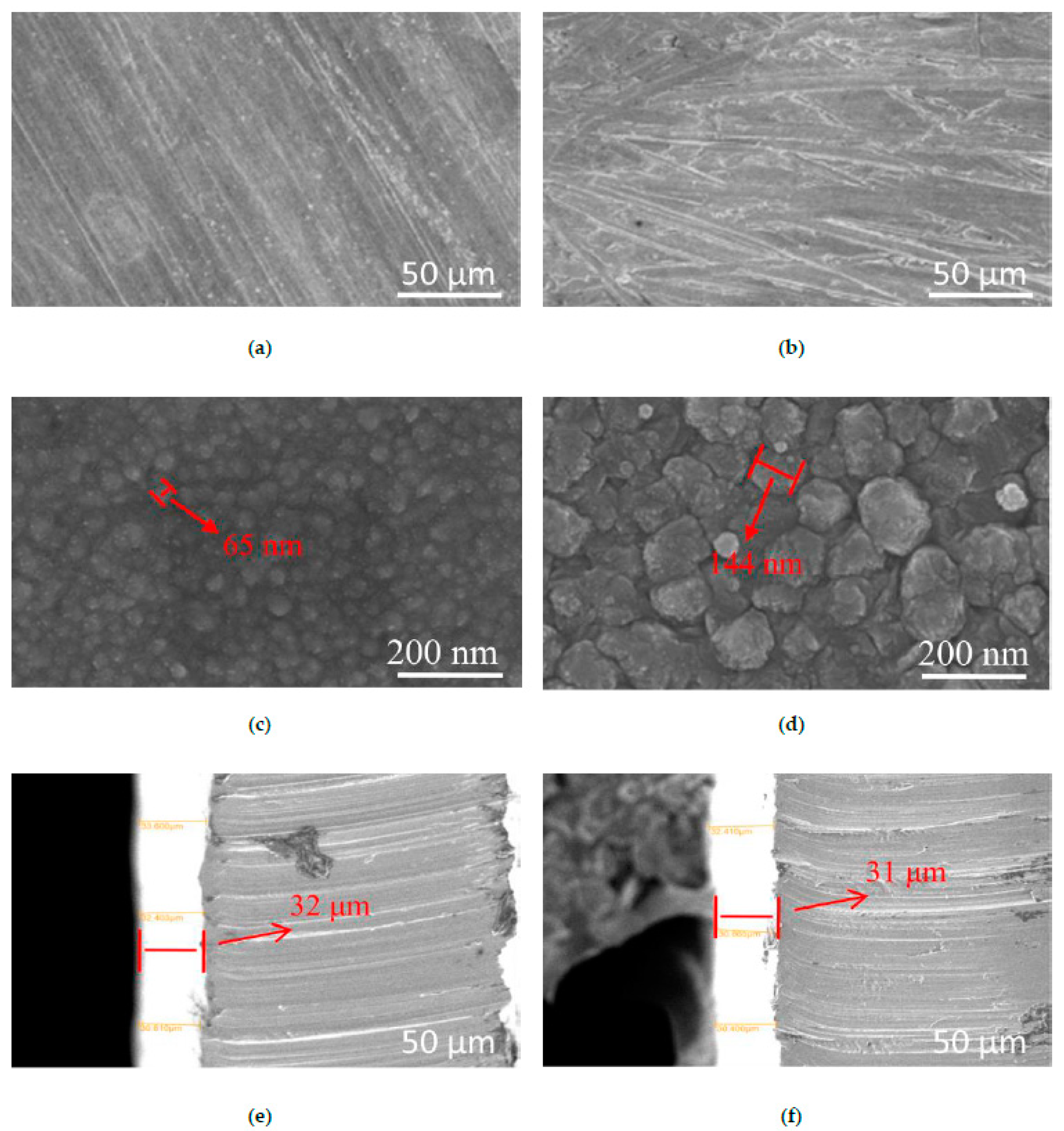 Coatings 12 00194 g002 550