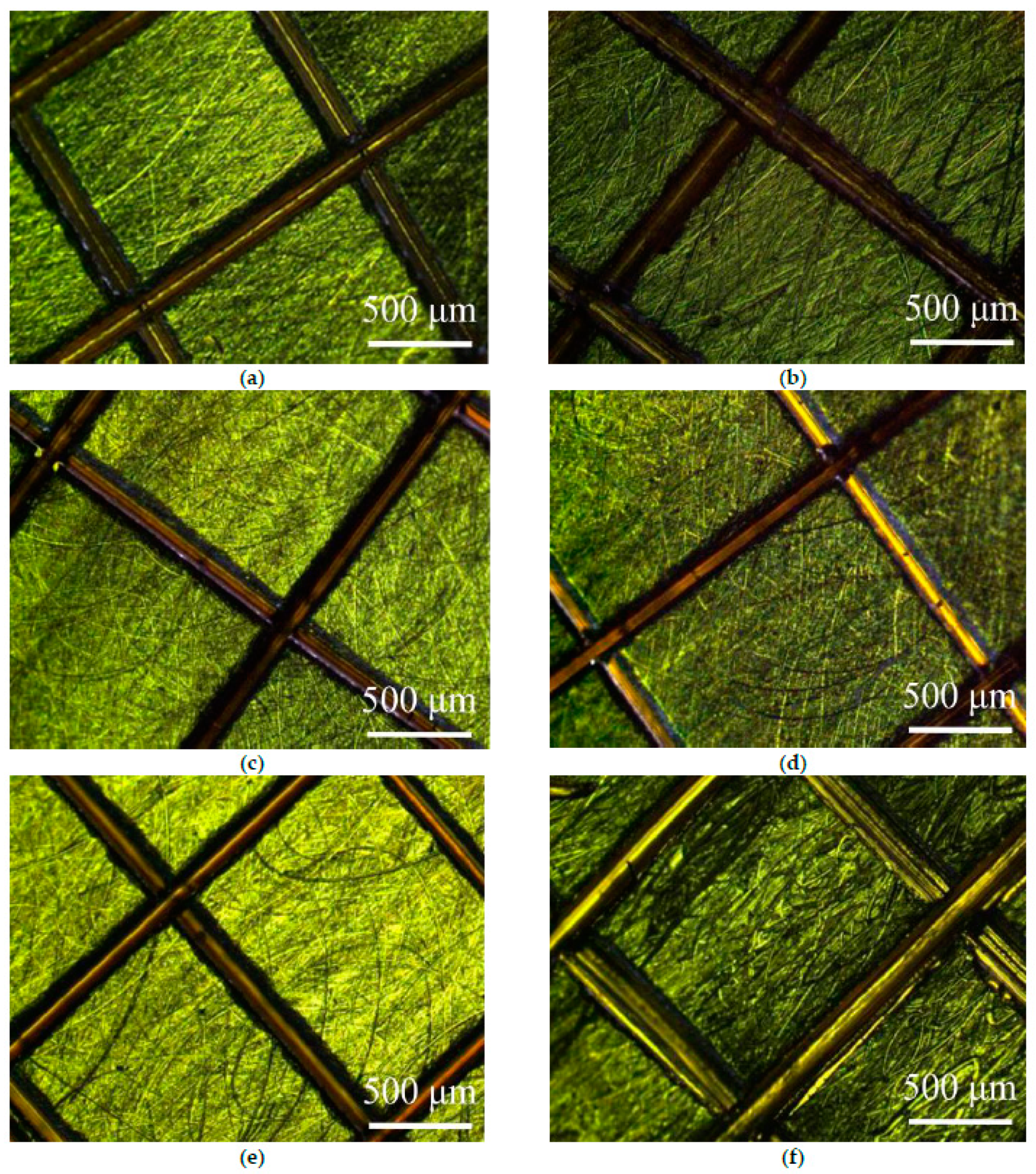 Coatings 12 00194 g003 550