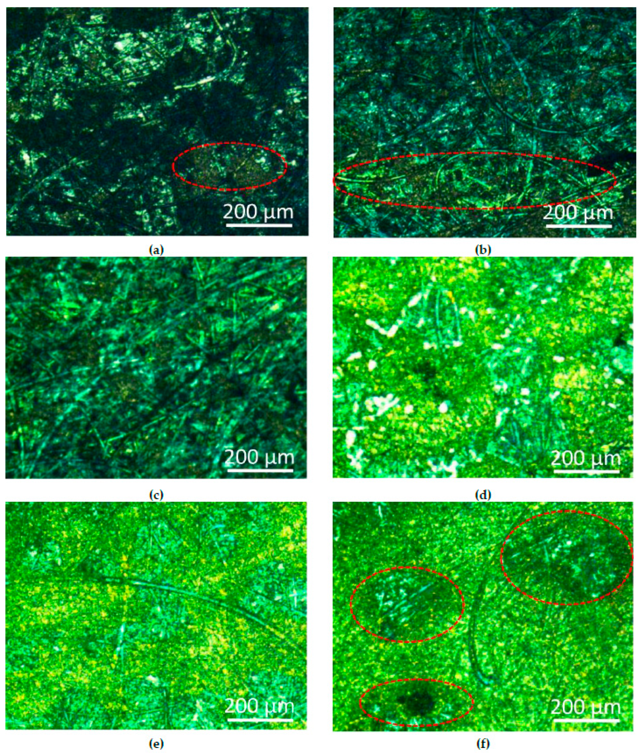 Coatings 12 00194 g004 550