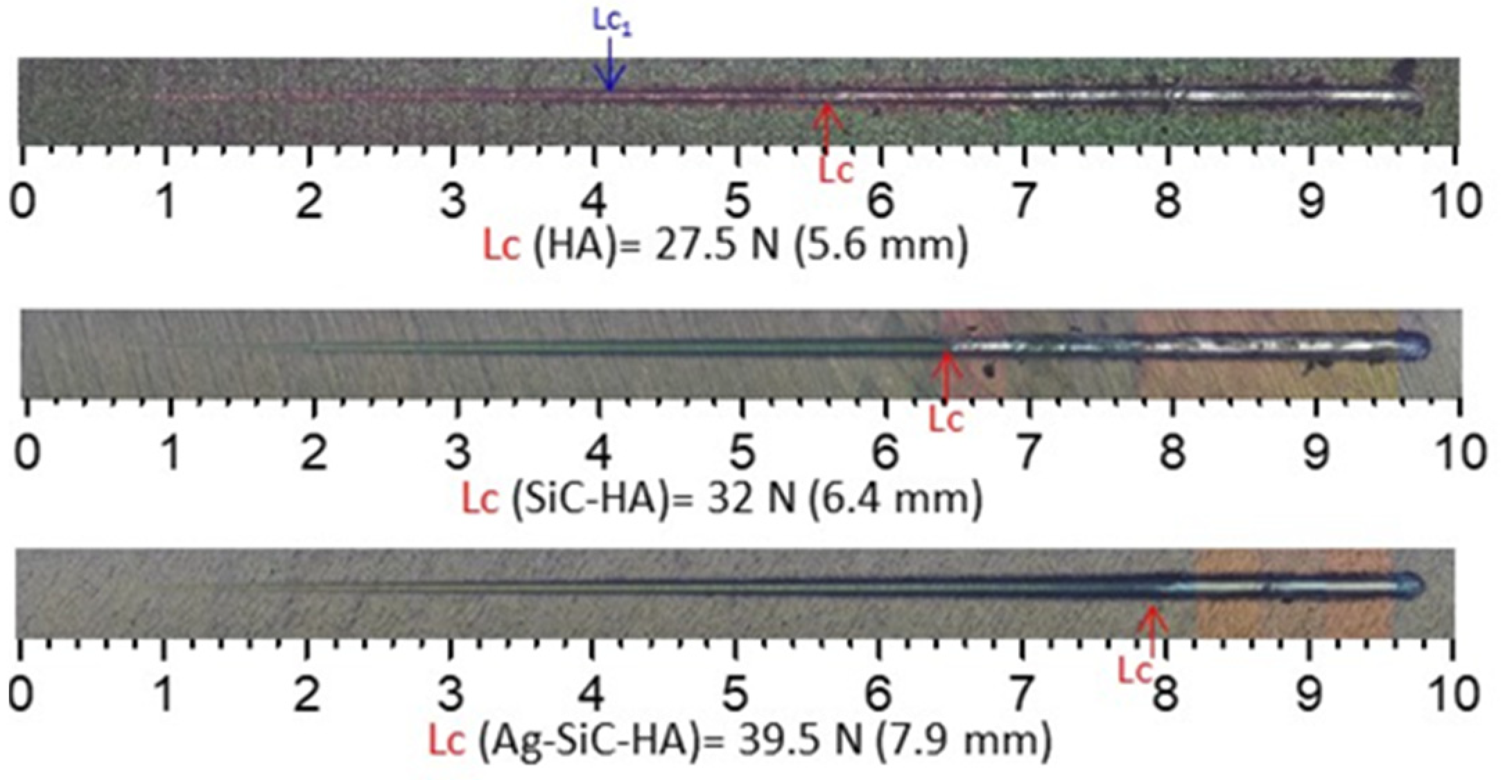 Coatings 12 00195 g013