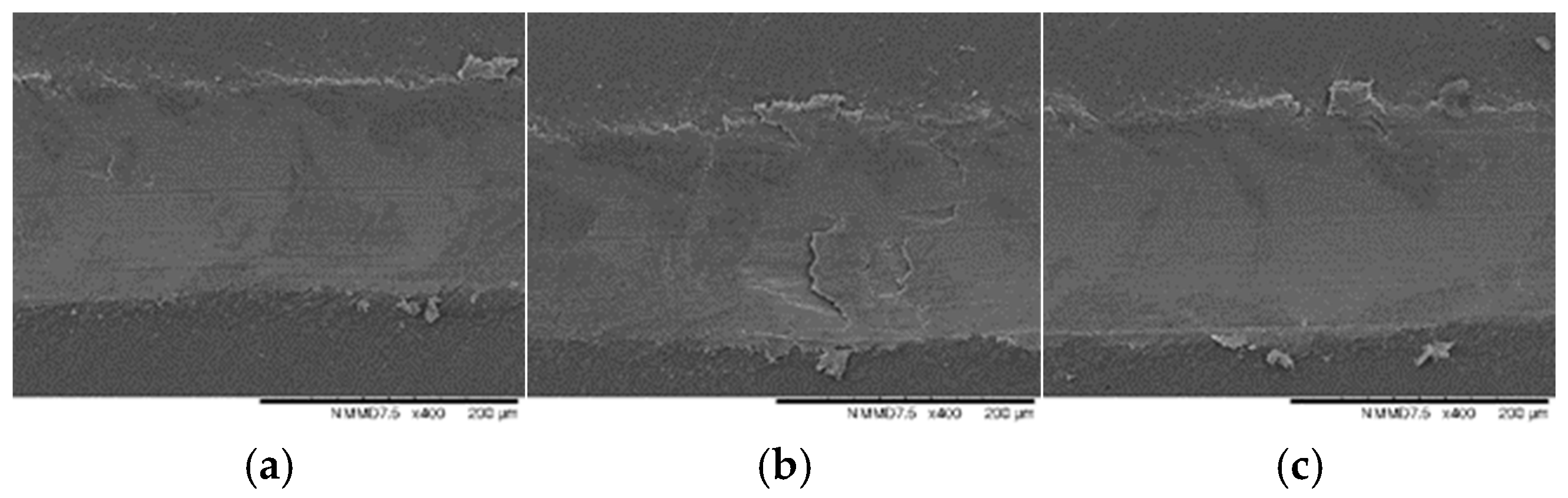 Coatings 12 00195 g014