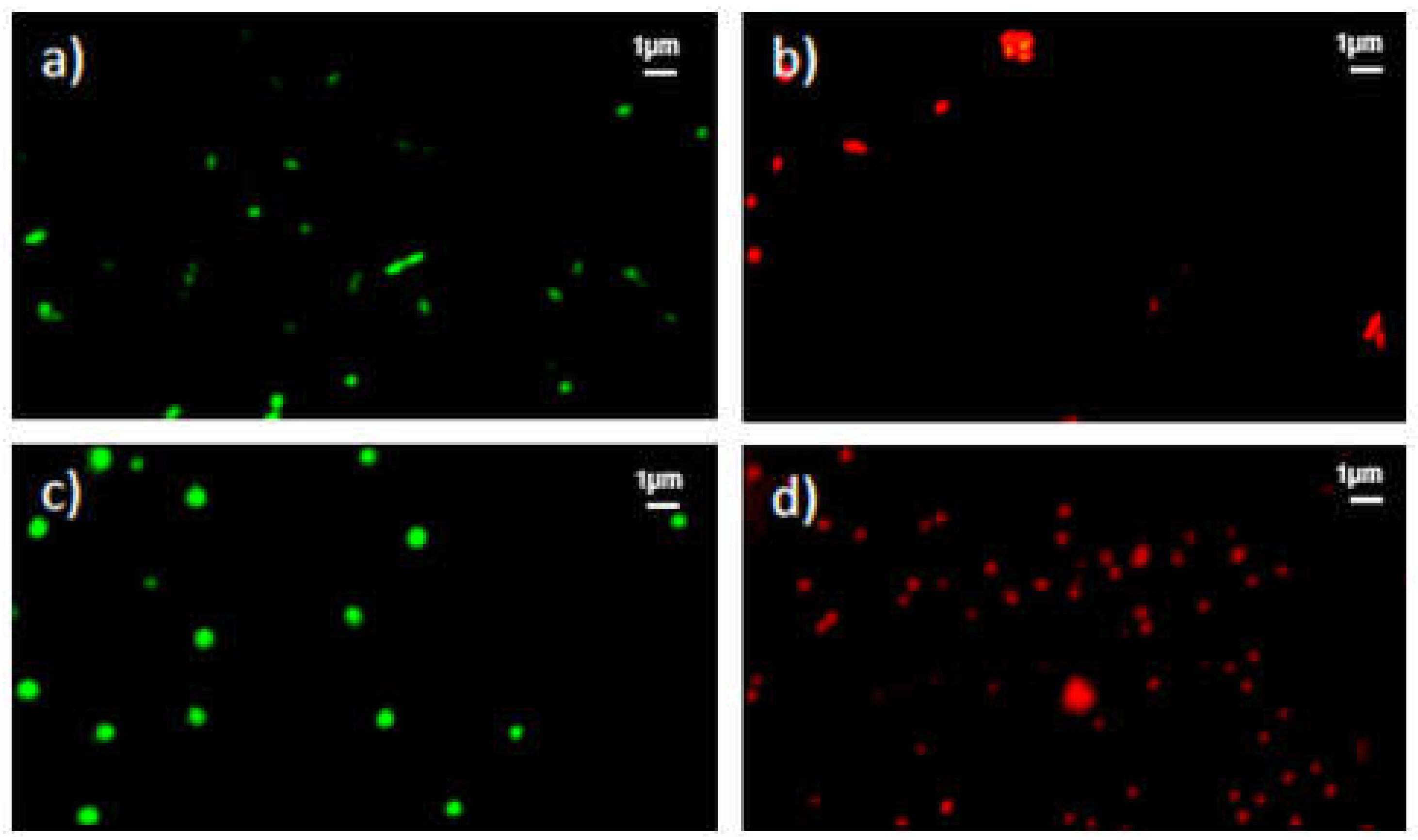 Coatings 12 00197 g002 550