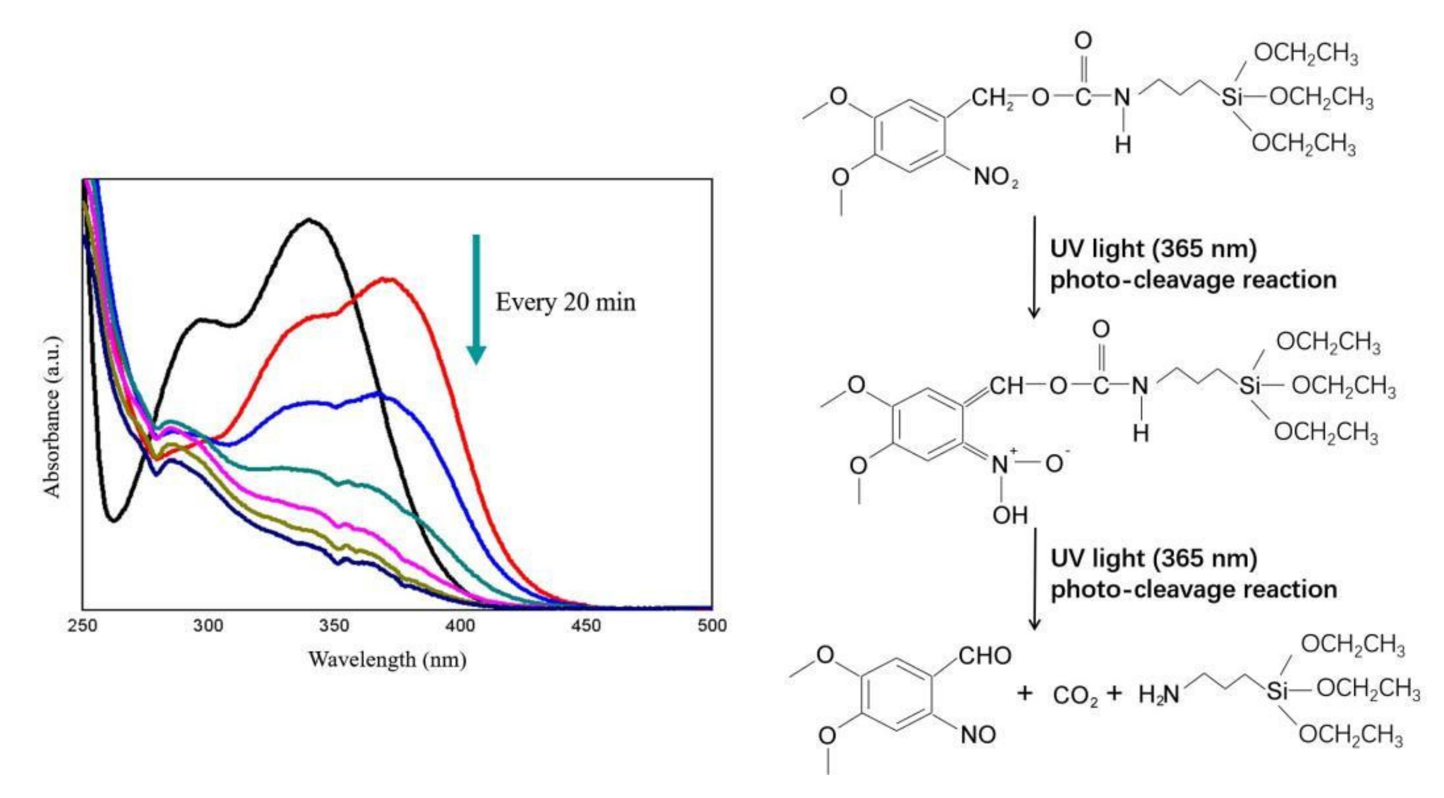 Coatings 12 00198 g002